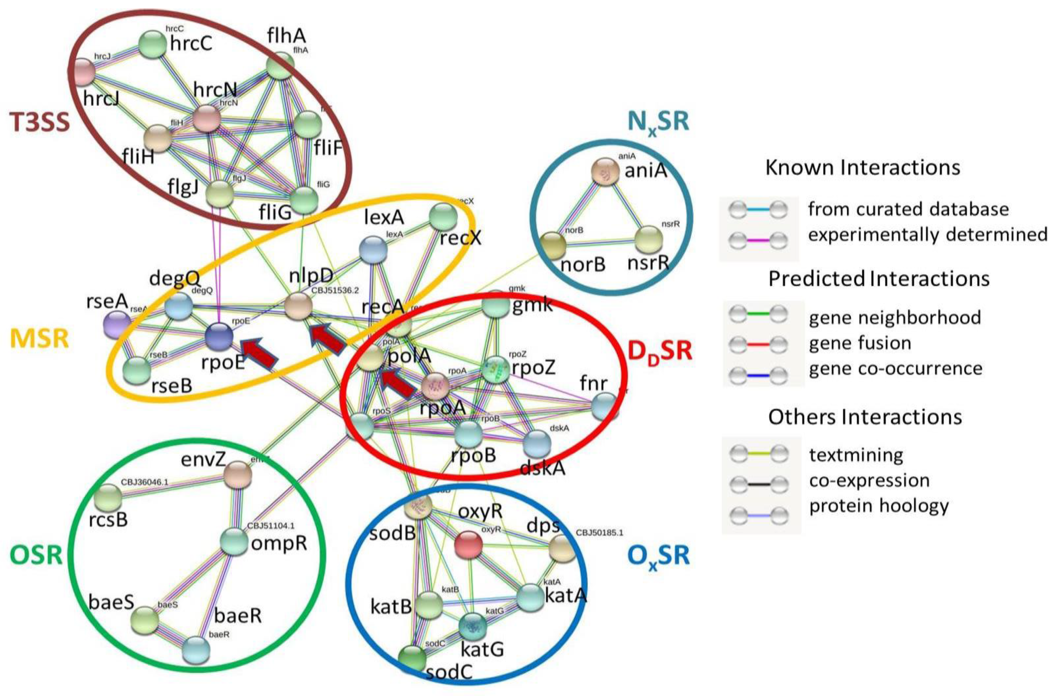 Pathogens 11 00730 g003 Pathogens 11 00730 g003