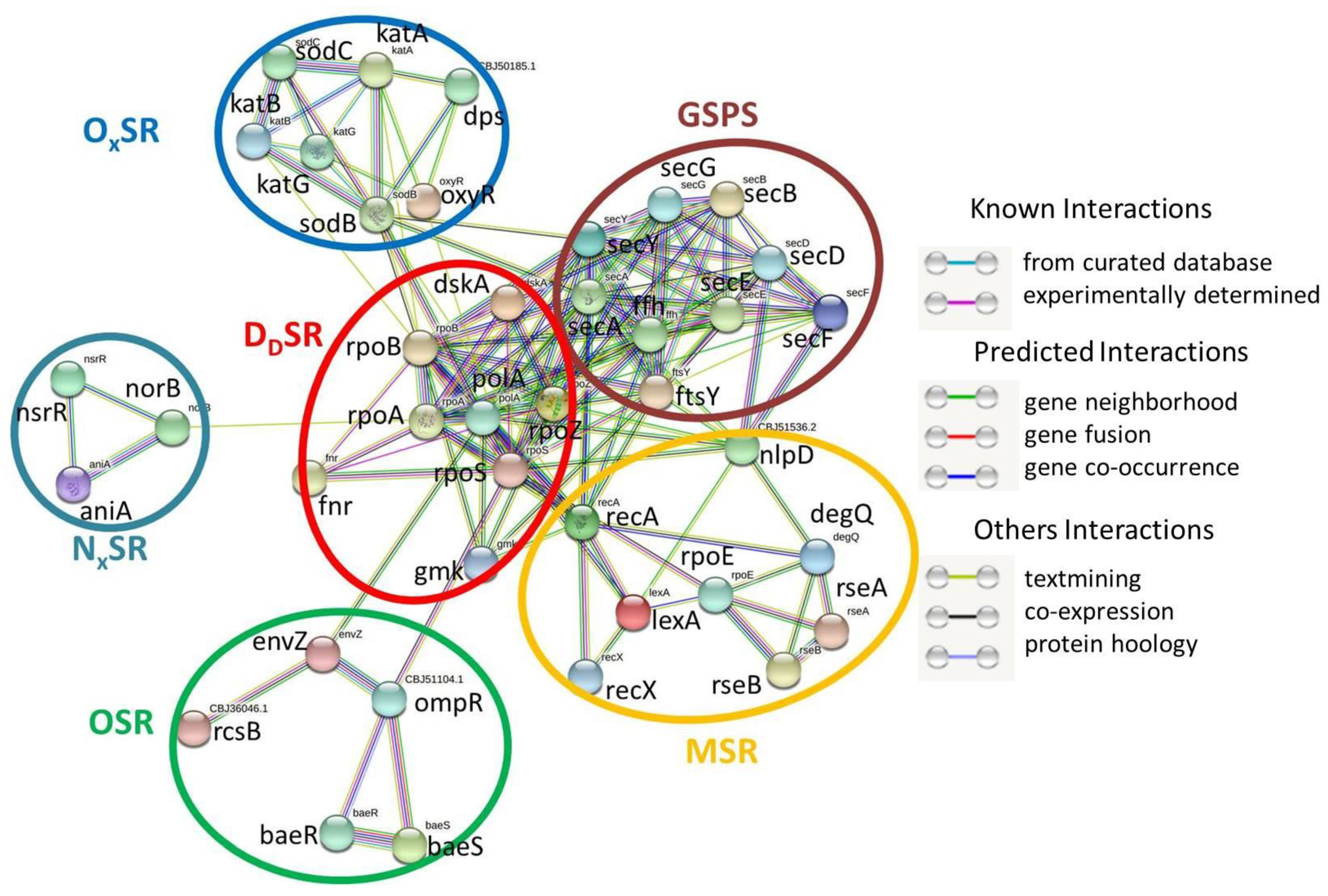 Pathogens 11 00730 g004 Pathogens 11 00730 g004