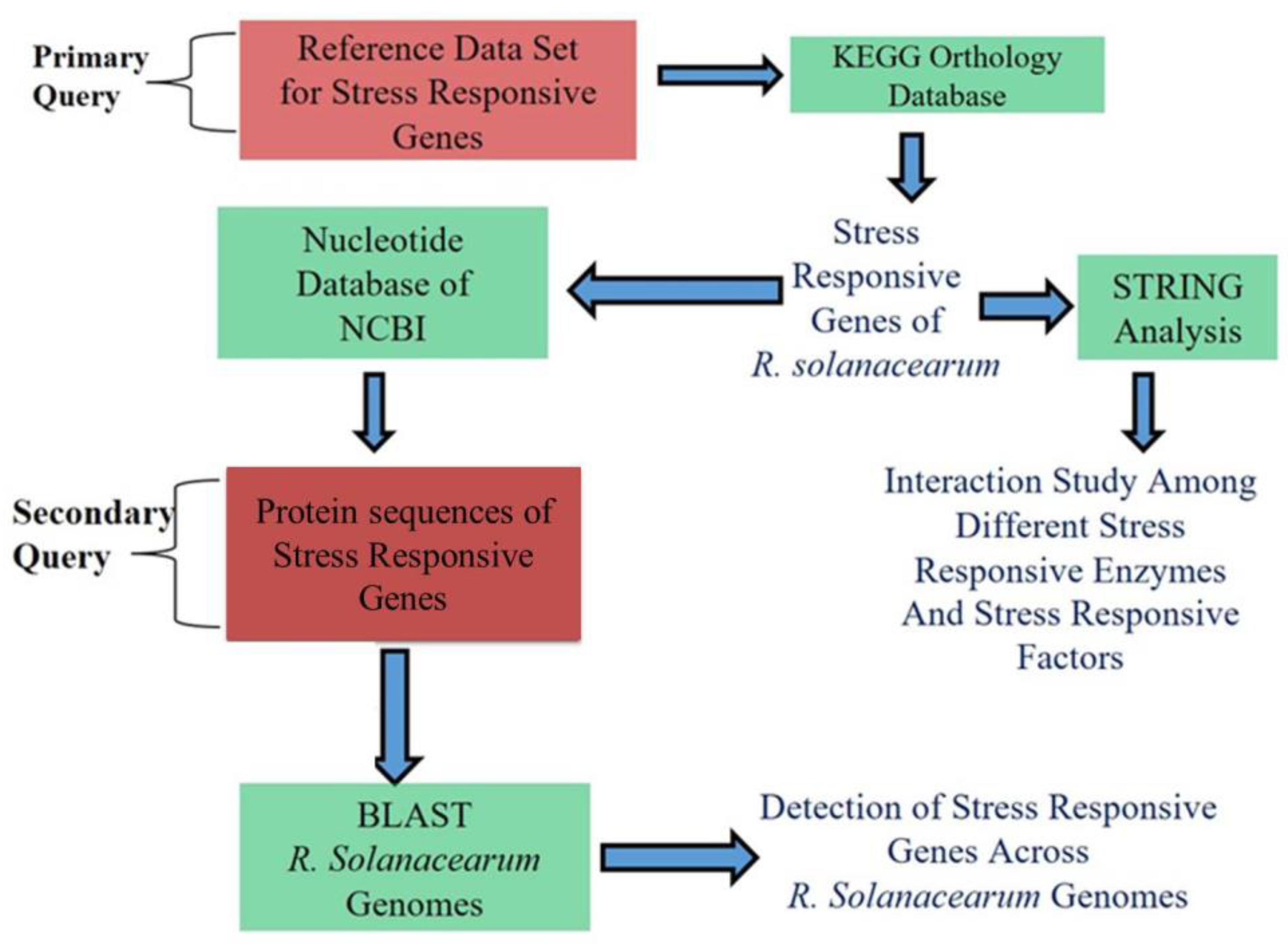 Pathogens 11 00730 g007 Pathogens 11 00730 g007