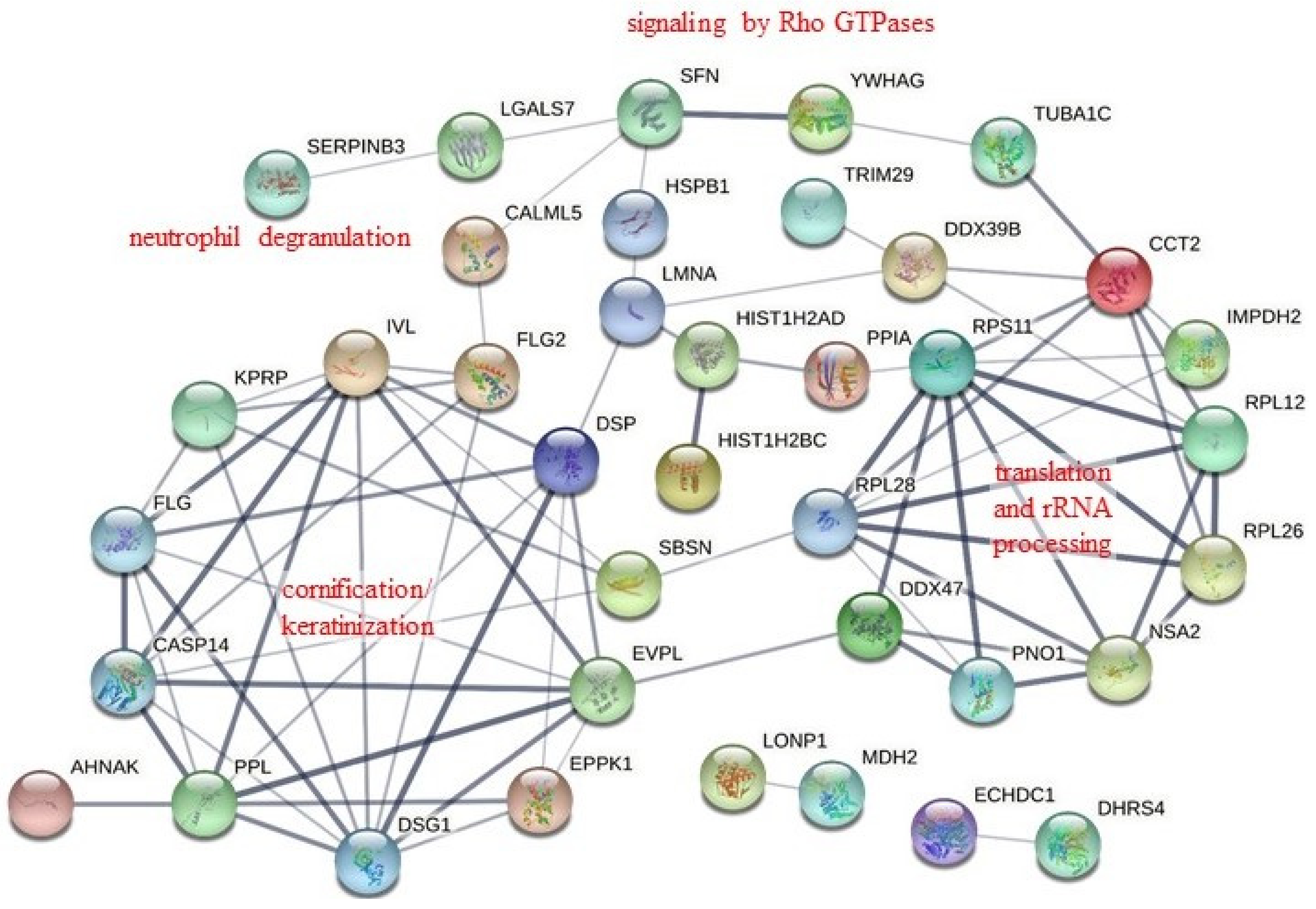 Pathogens 11 00733 g002