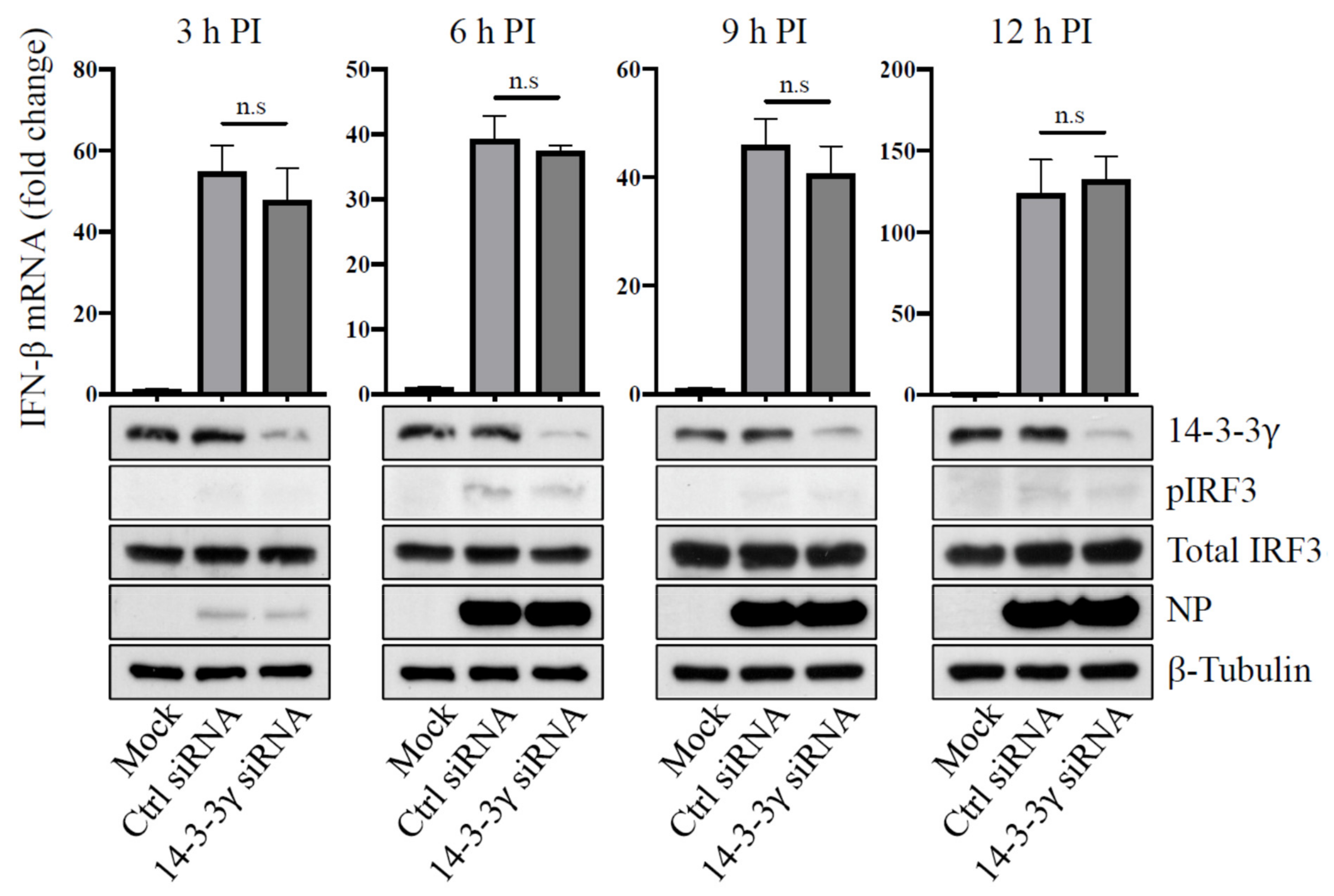 Pathogens 11 00733 g004