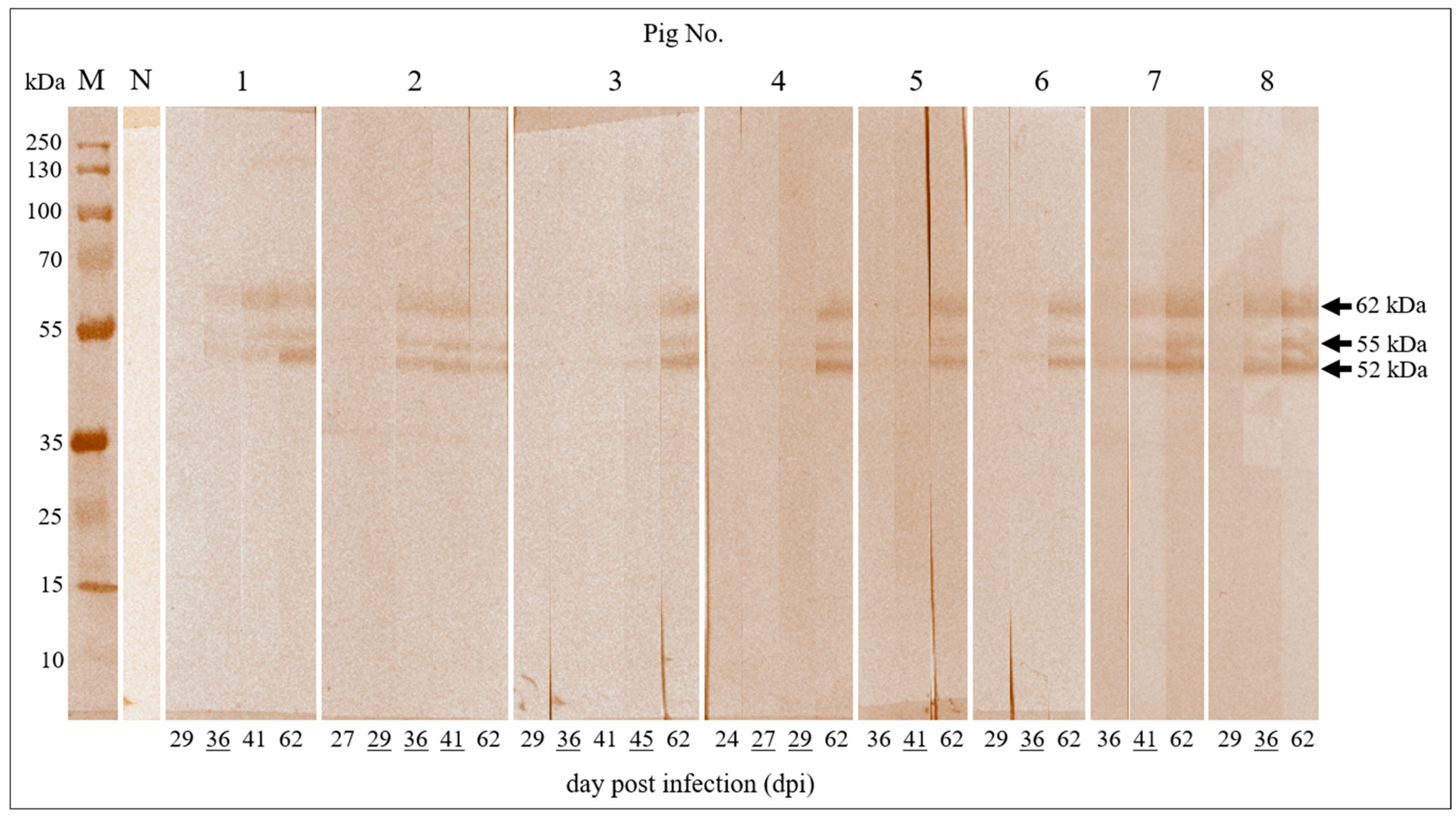 Pathogens 11 00735 g002