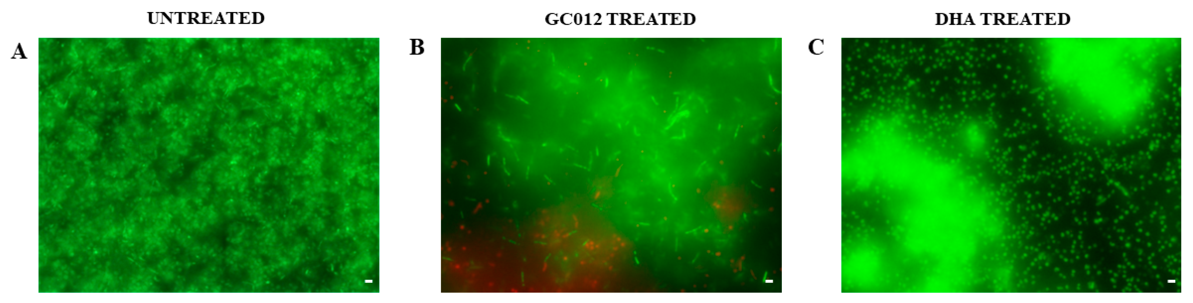 Pathogens 11 00740 g007