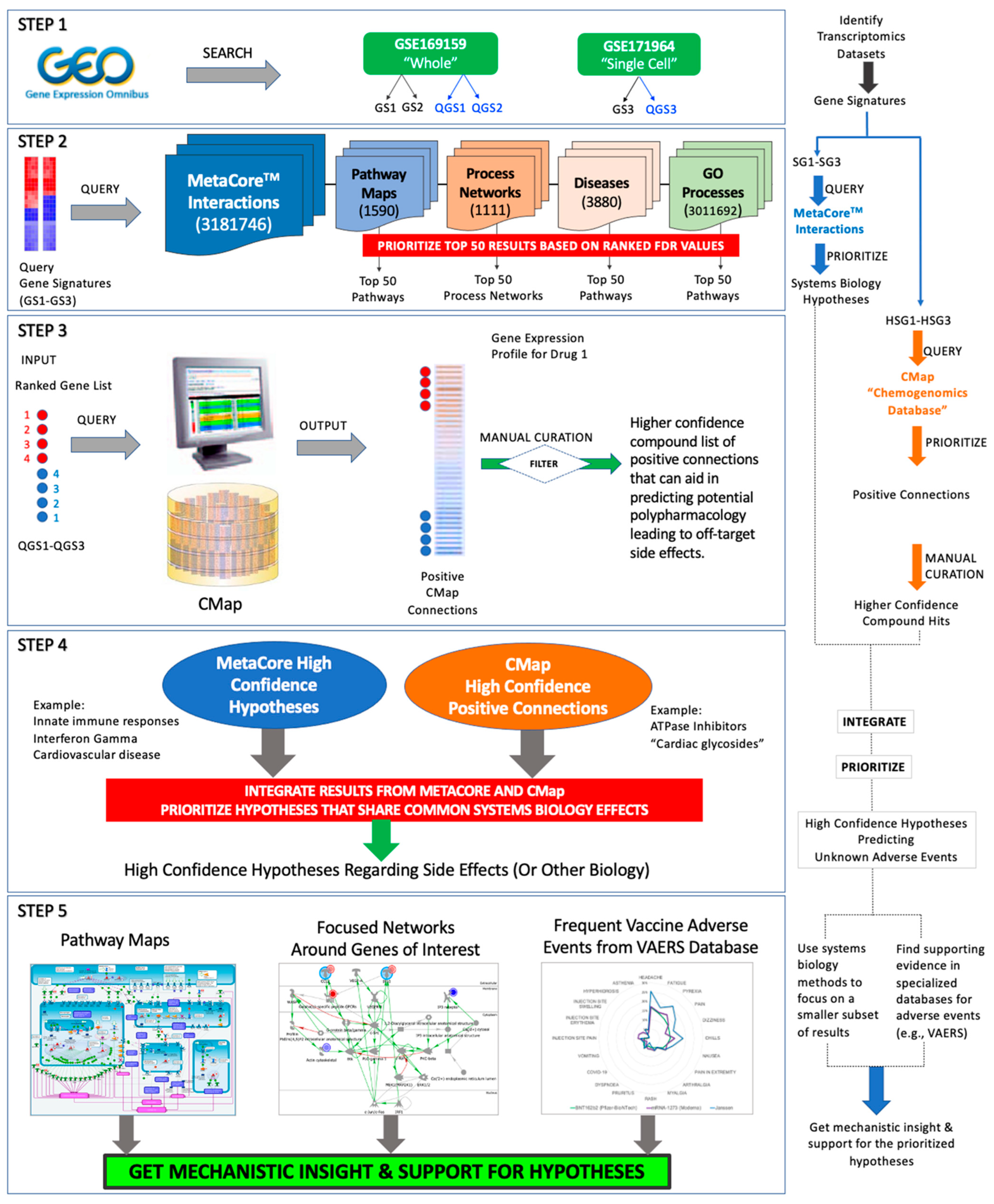 Pathogens 11 00743 g001 Pathogens 11 00743 g001