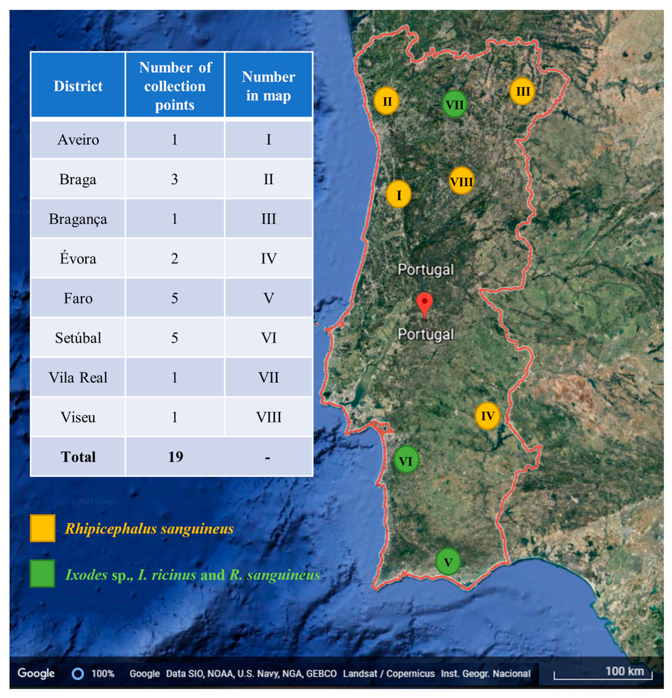 Pathogens 11 00749 g001