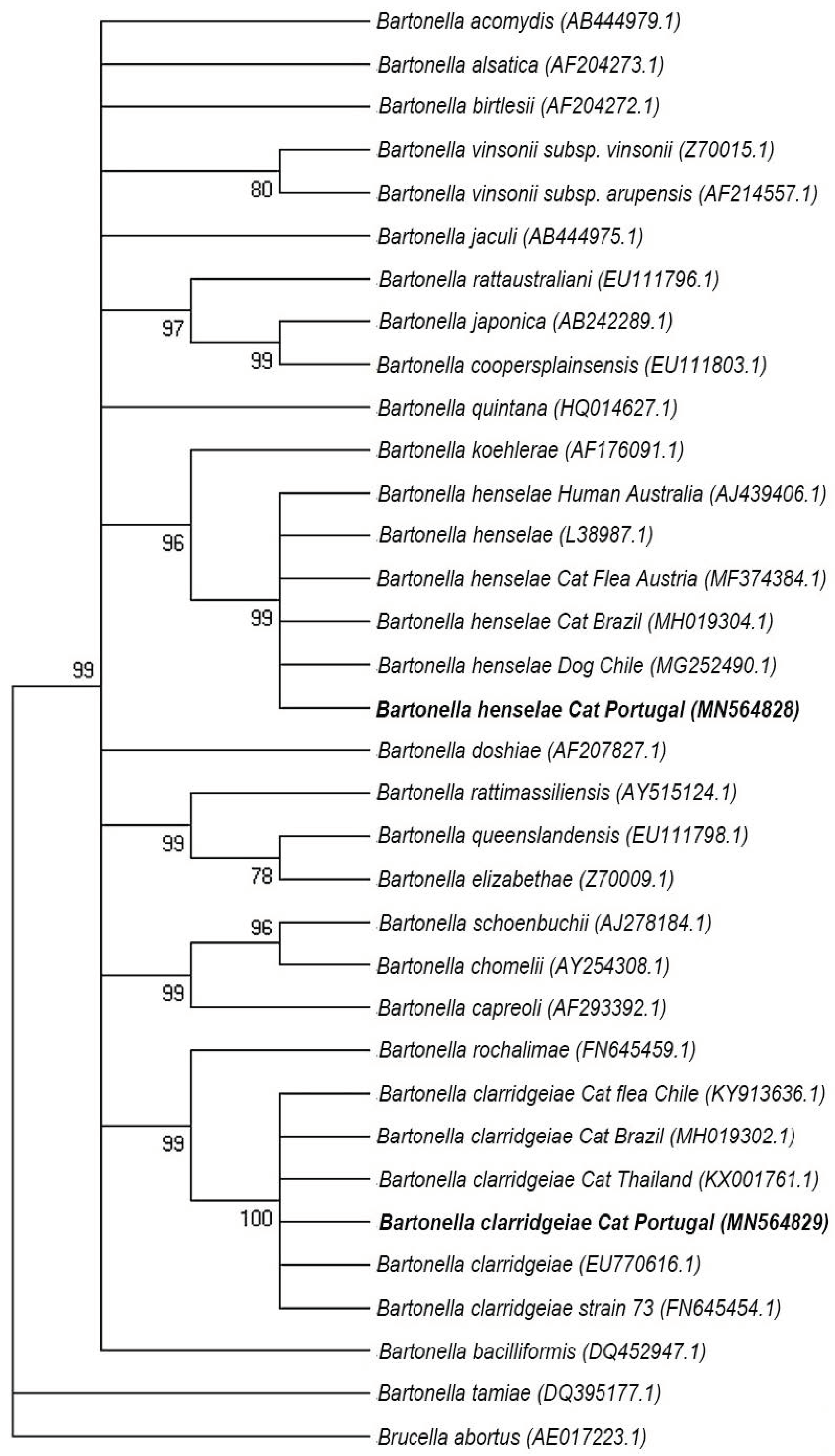 Pathogens 11 00749 g002