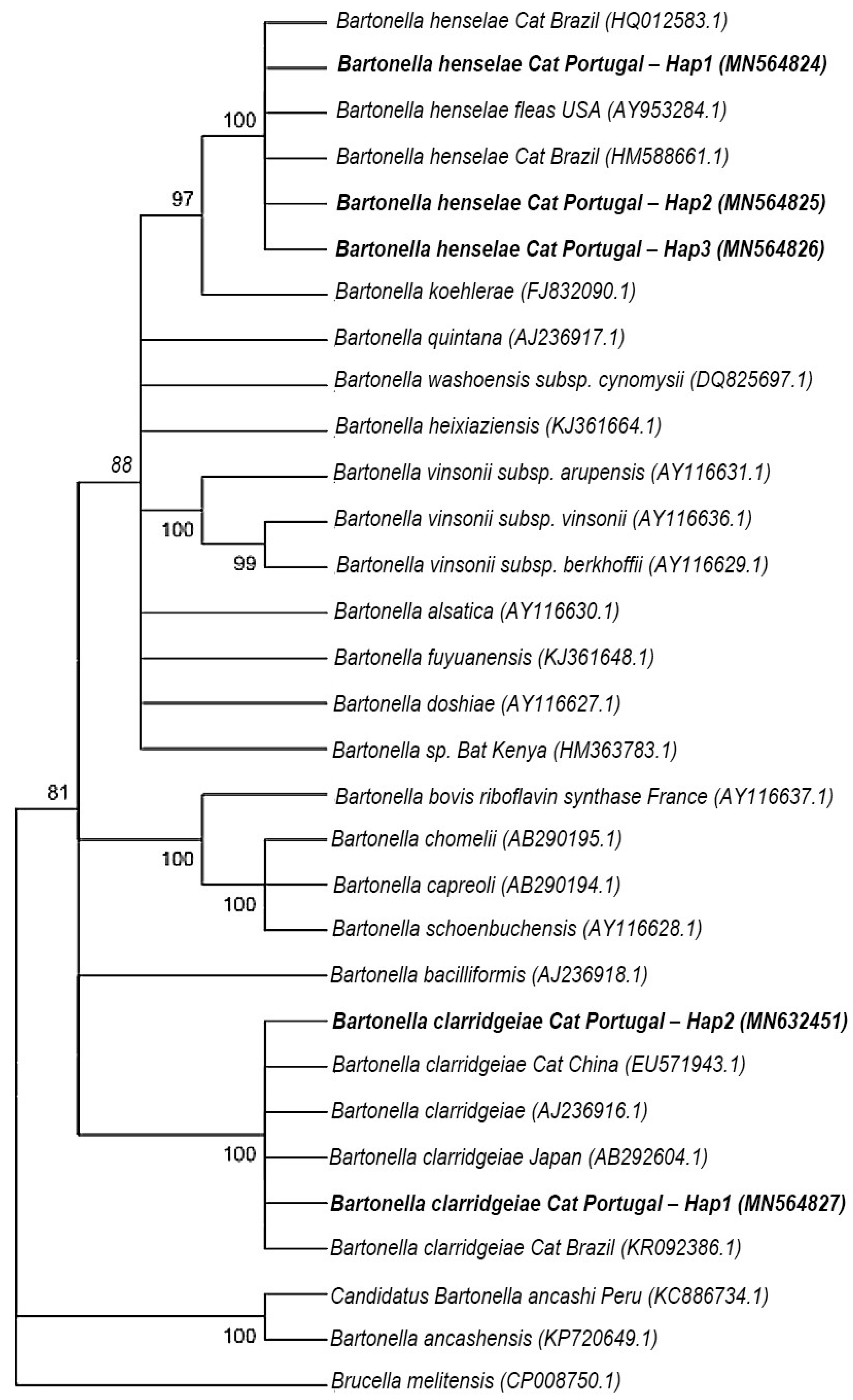 Pathogens 11 00749 g003