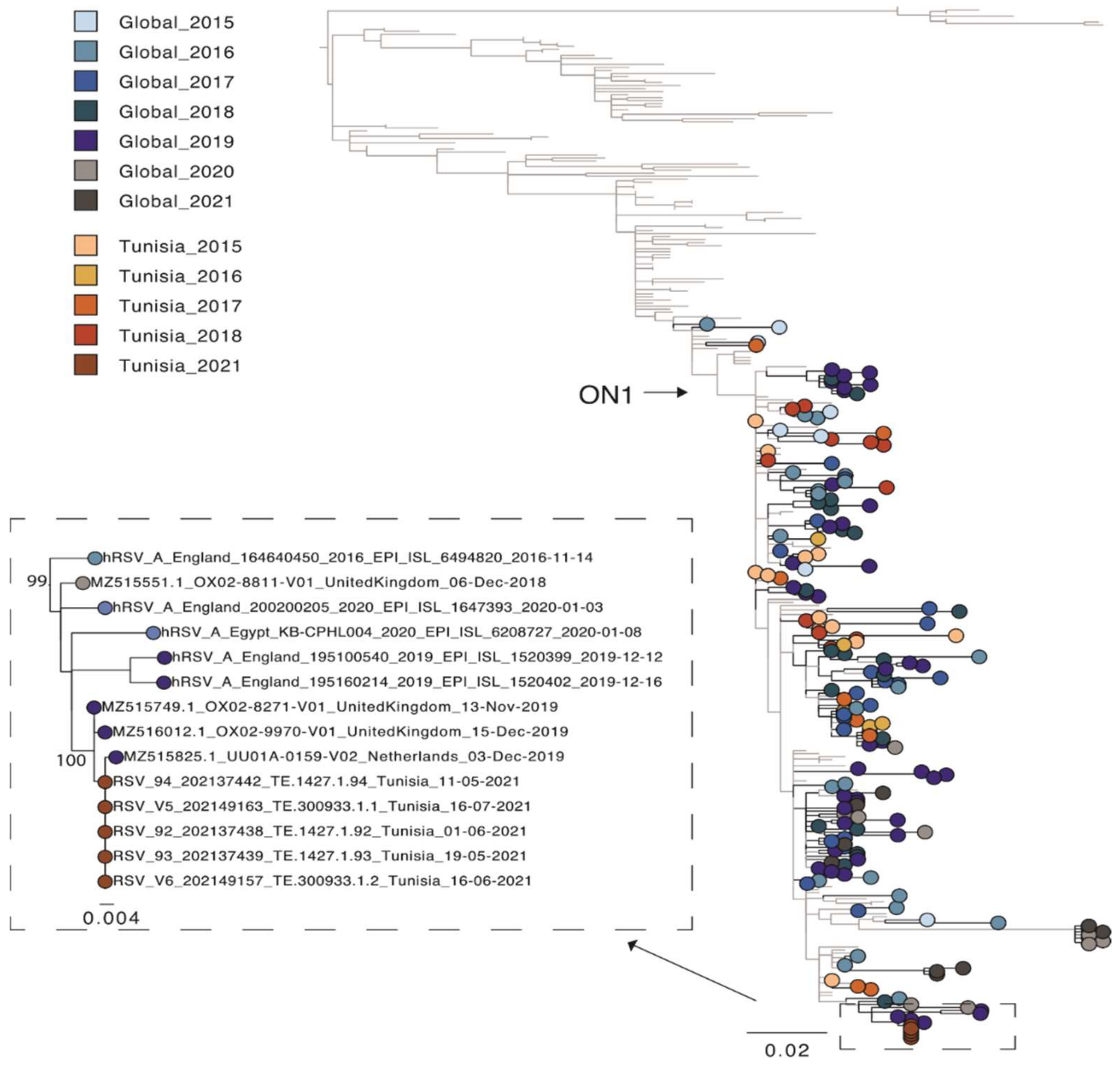 Pathogens 11 00758 g002
