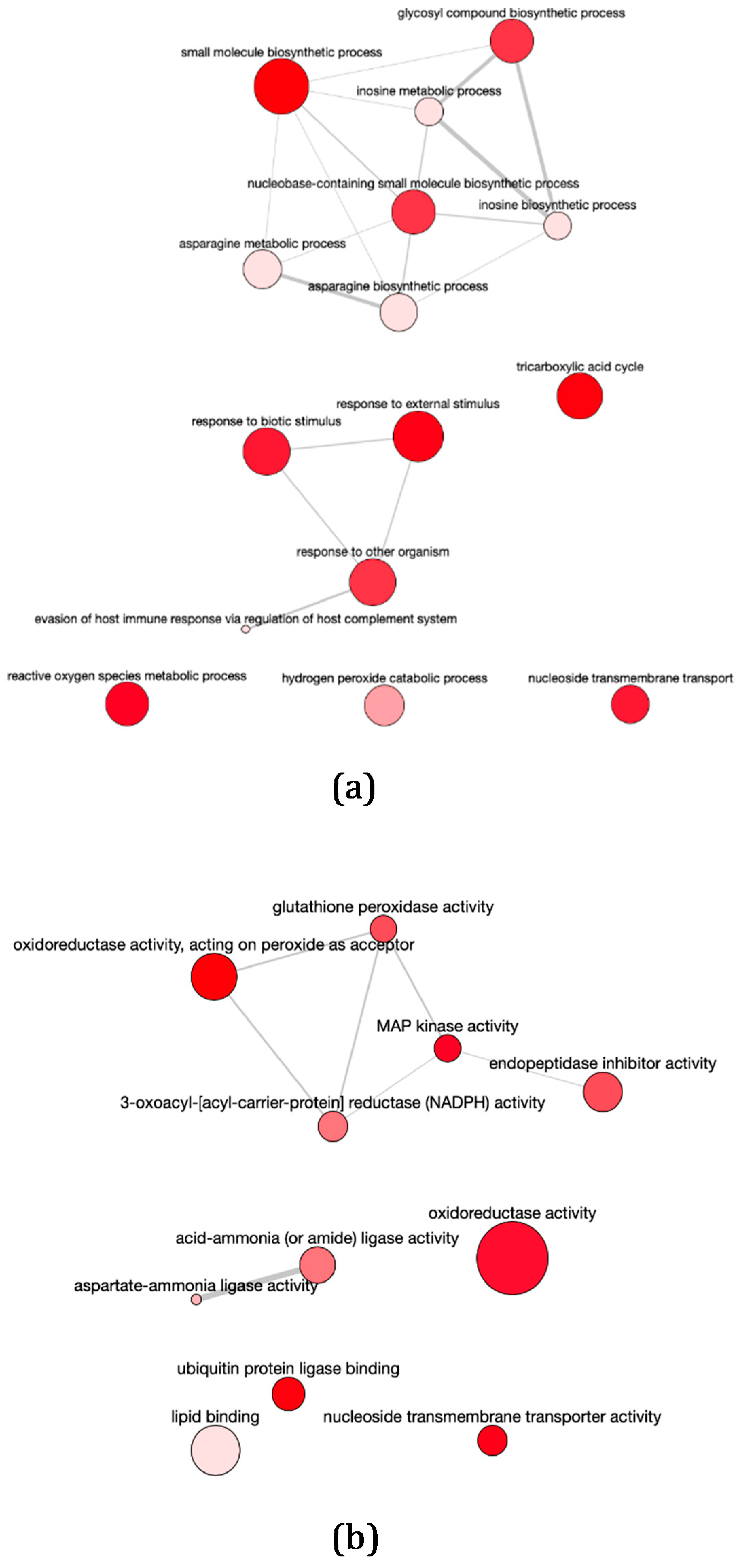 Pathogens 11 00761 g003