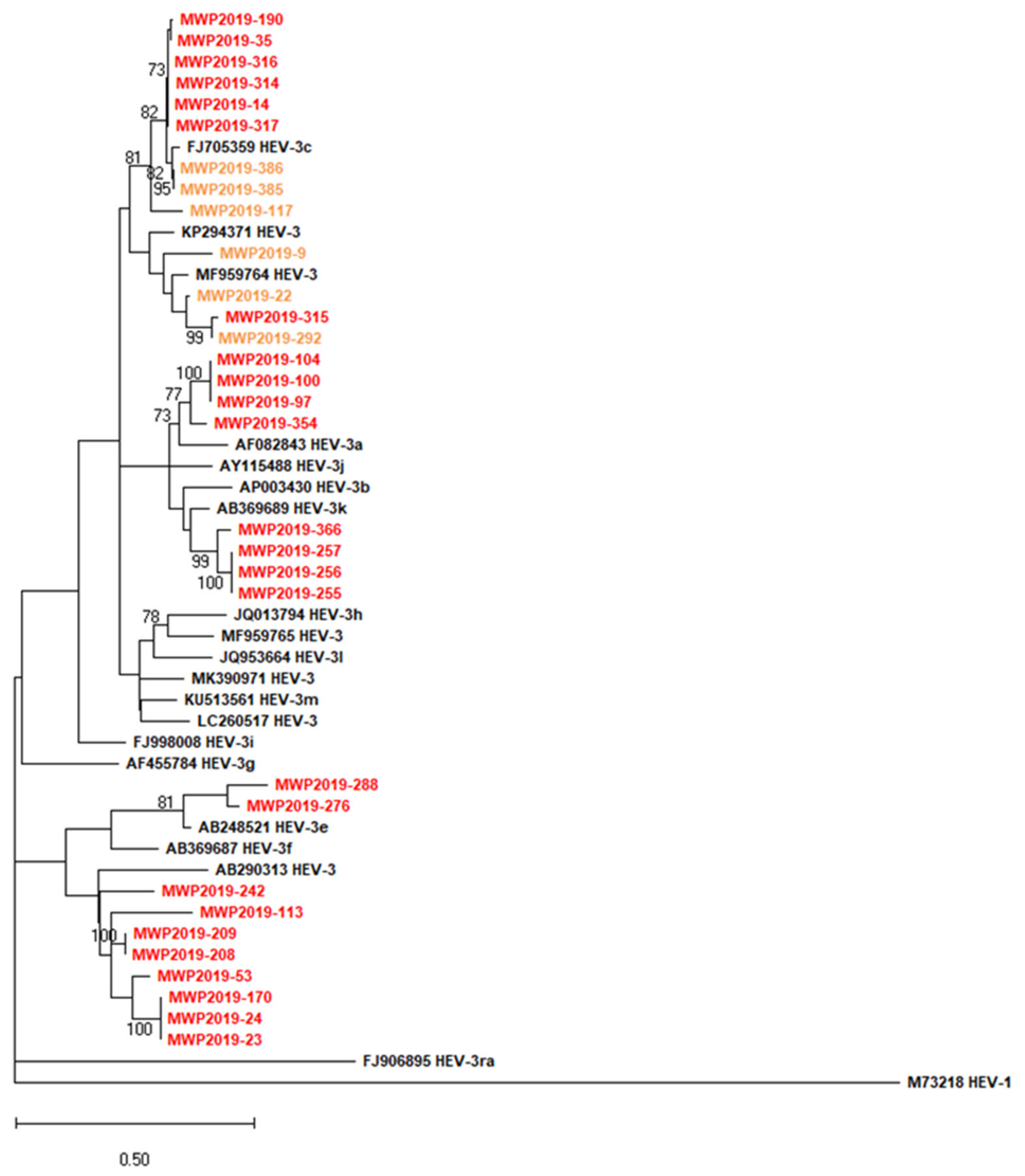 Pathogens 11 00773 g002
