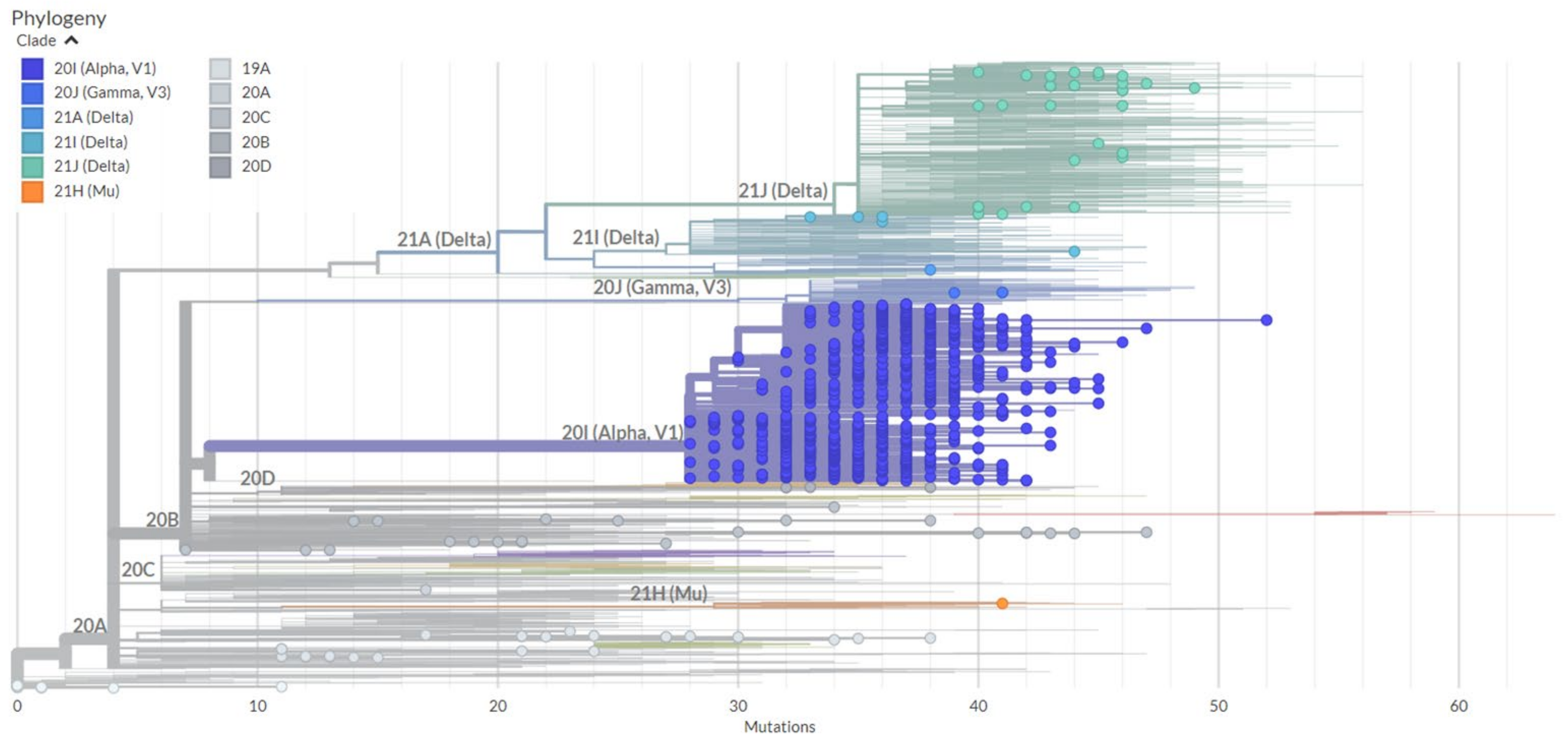 Pathogens 11 00780 g007