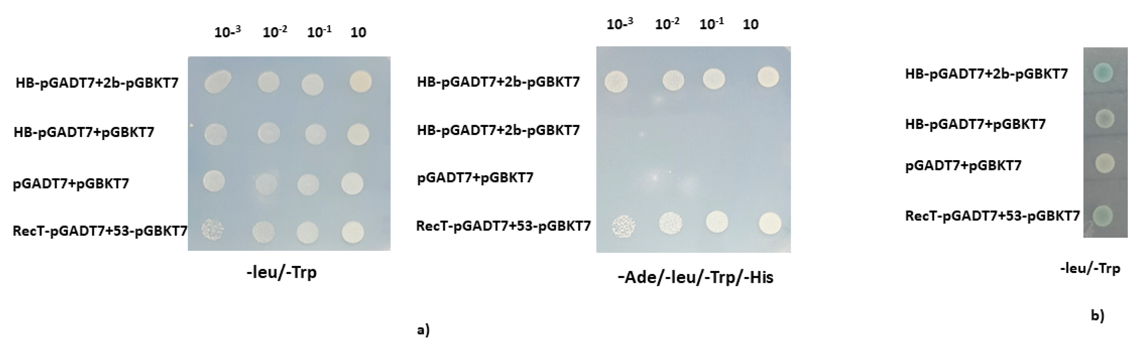 Pathogens 11 00788 g001