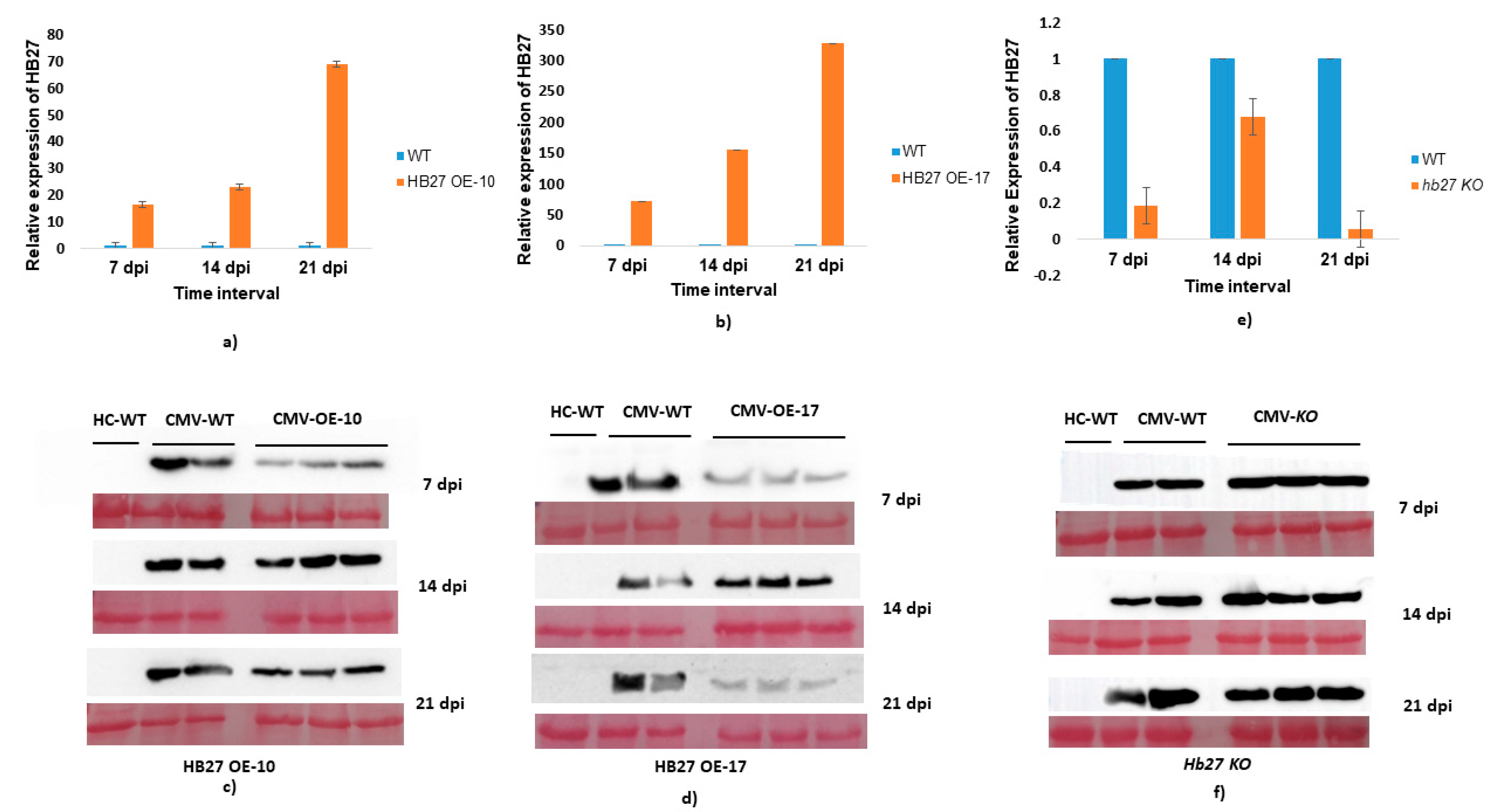 Pathogens 11 00788 g006
