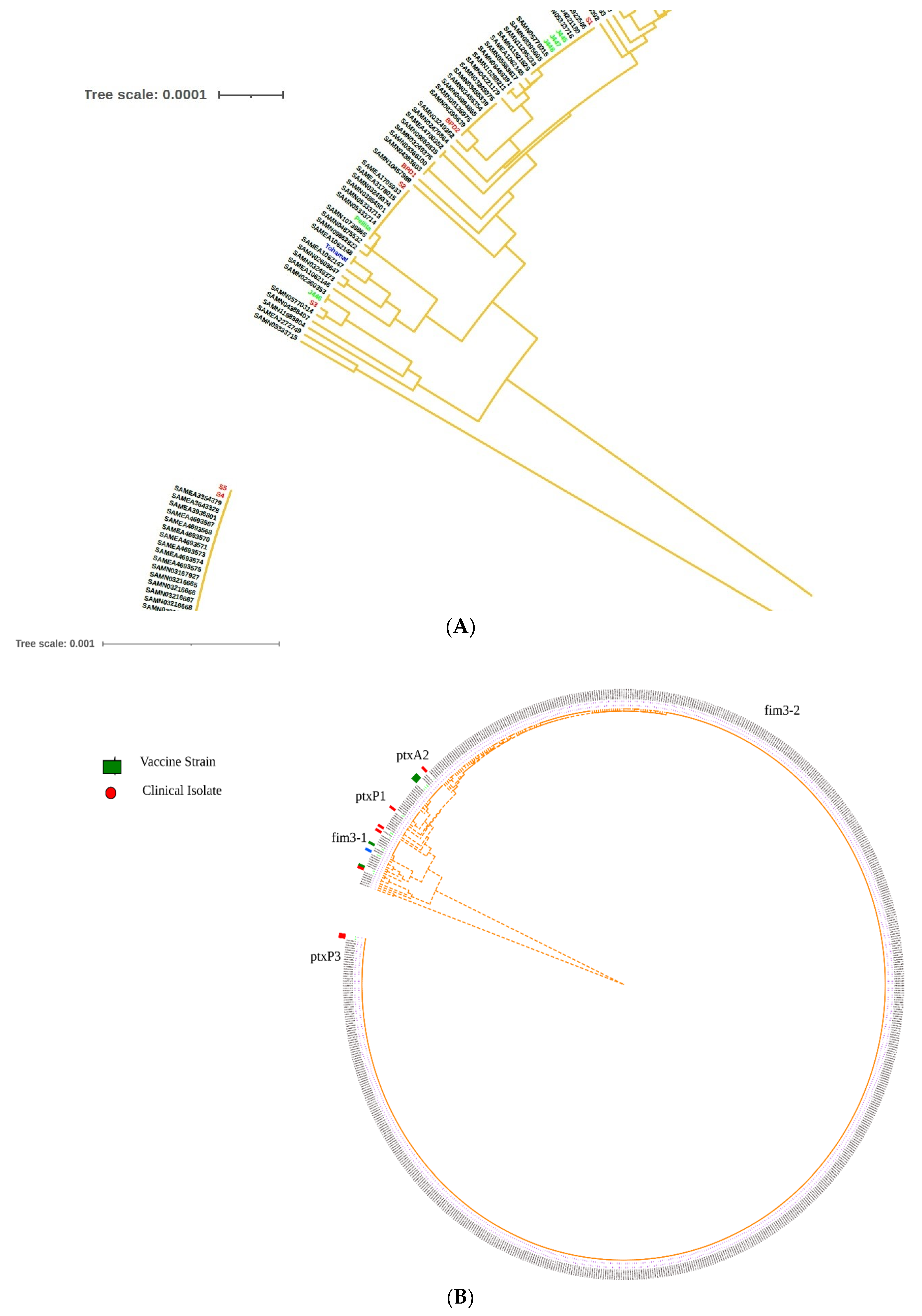 Pathogens 11 00794 g003