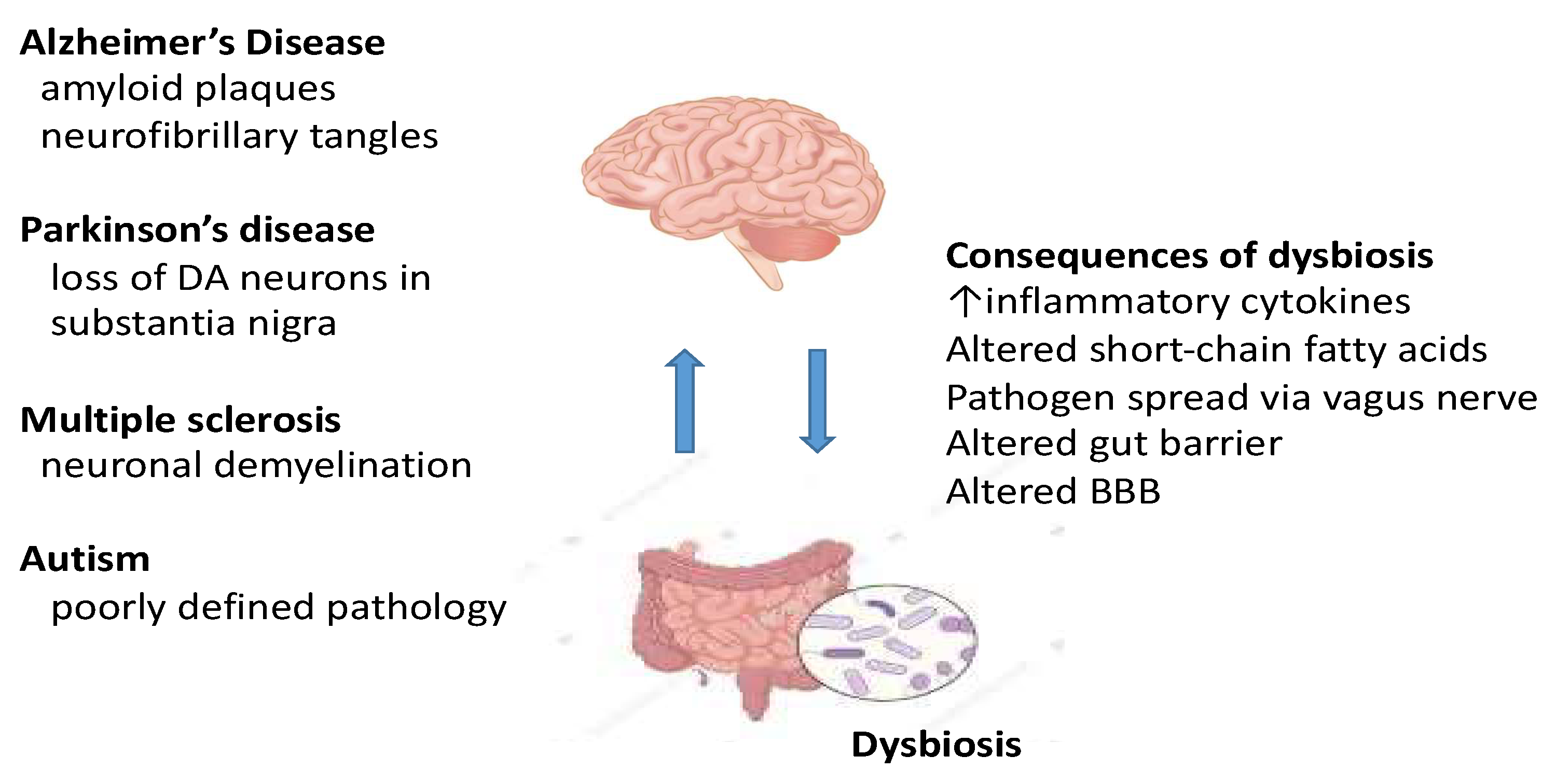 Pathogens 11 00796 g002 Pathogens 11 00796 g002