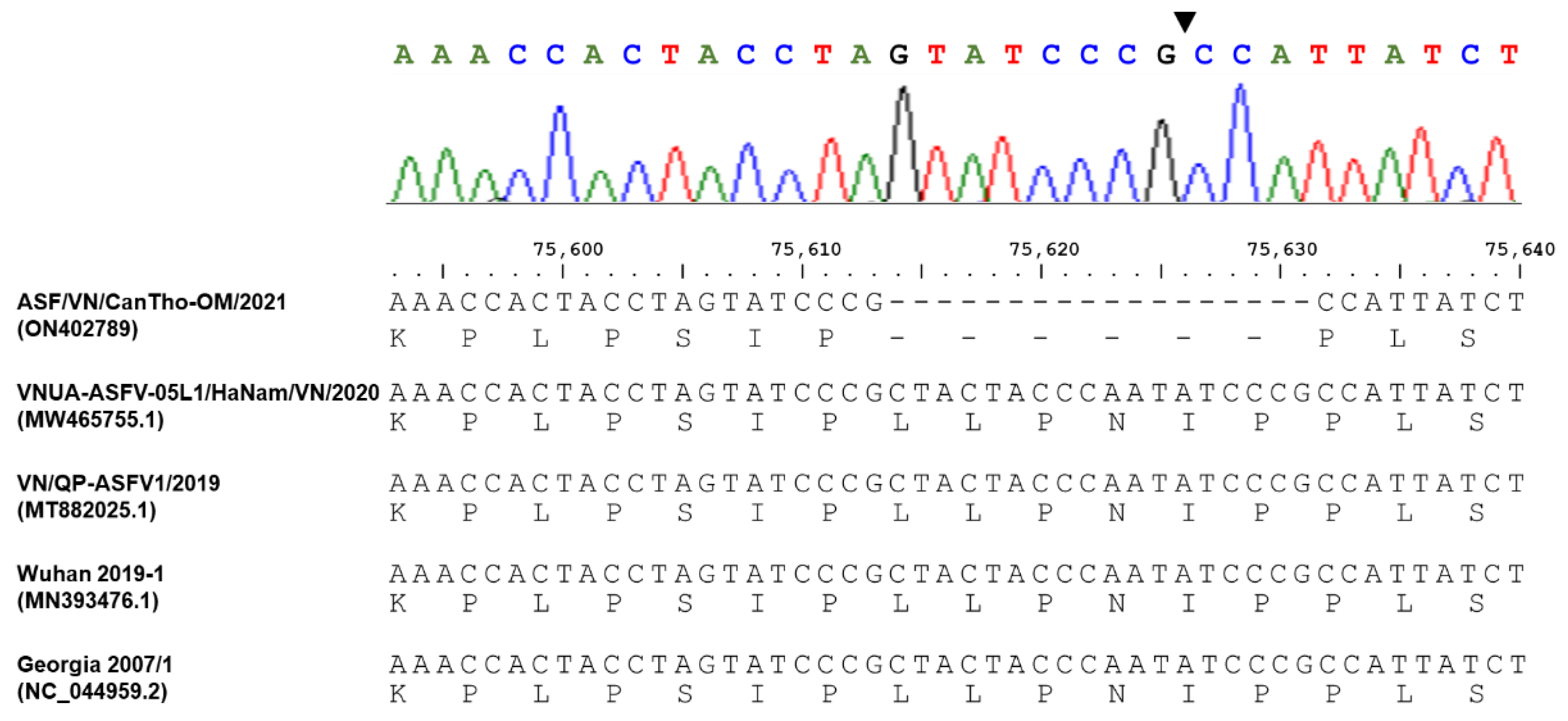 Pathogens 11 00797 g002