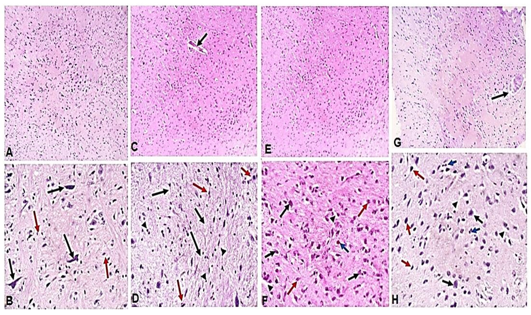 Pathogens 11 00798 g002