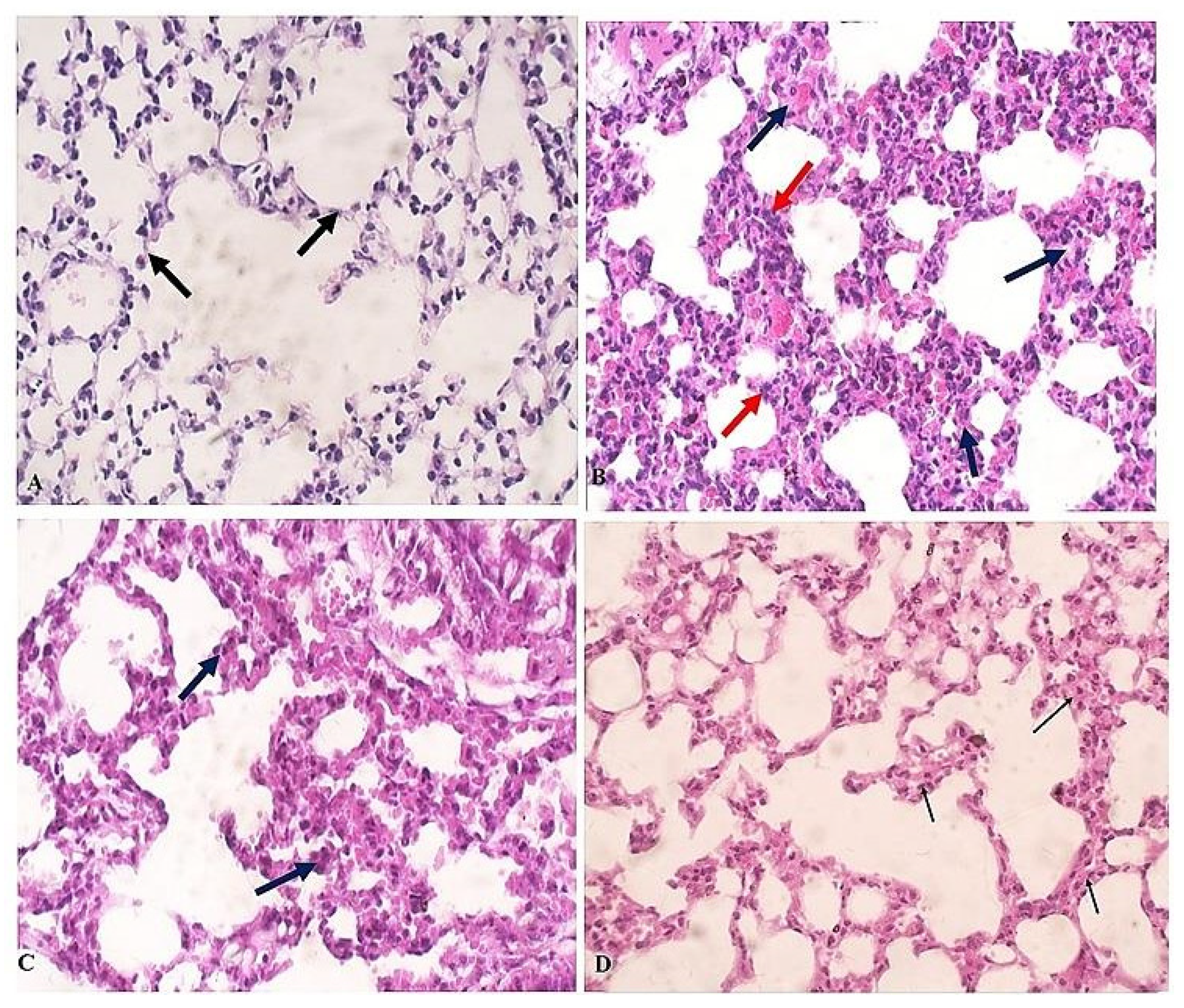Pathogens 11 00798 g004
