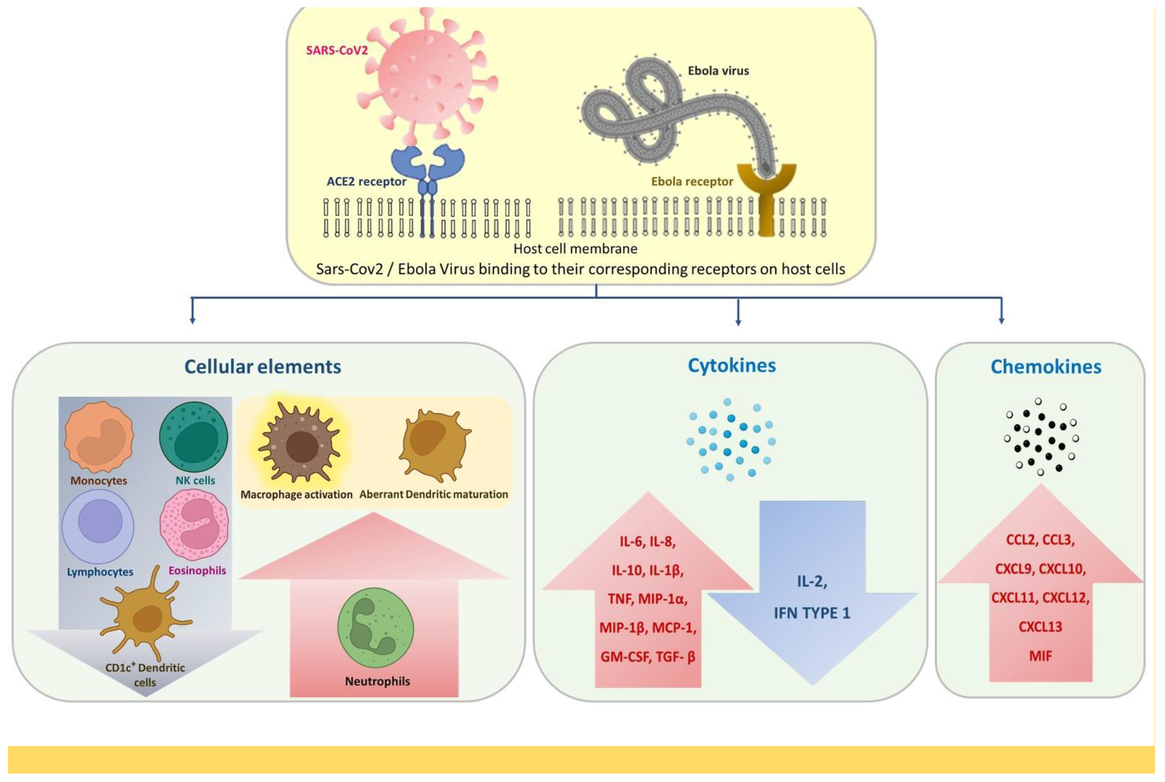 Pathogens 11 00800 g001