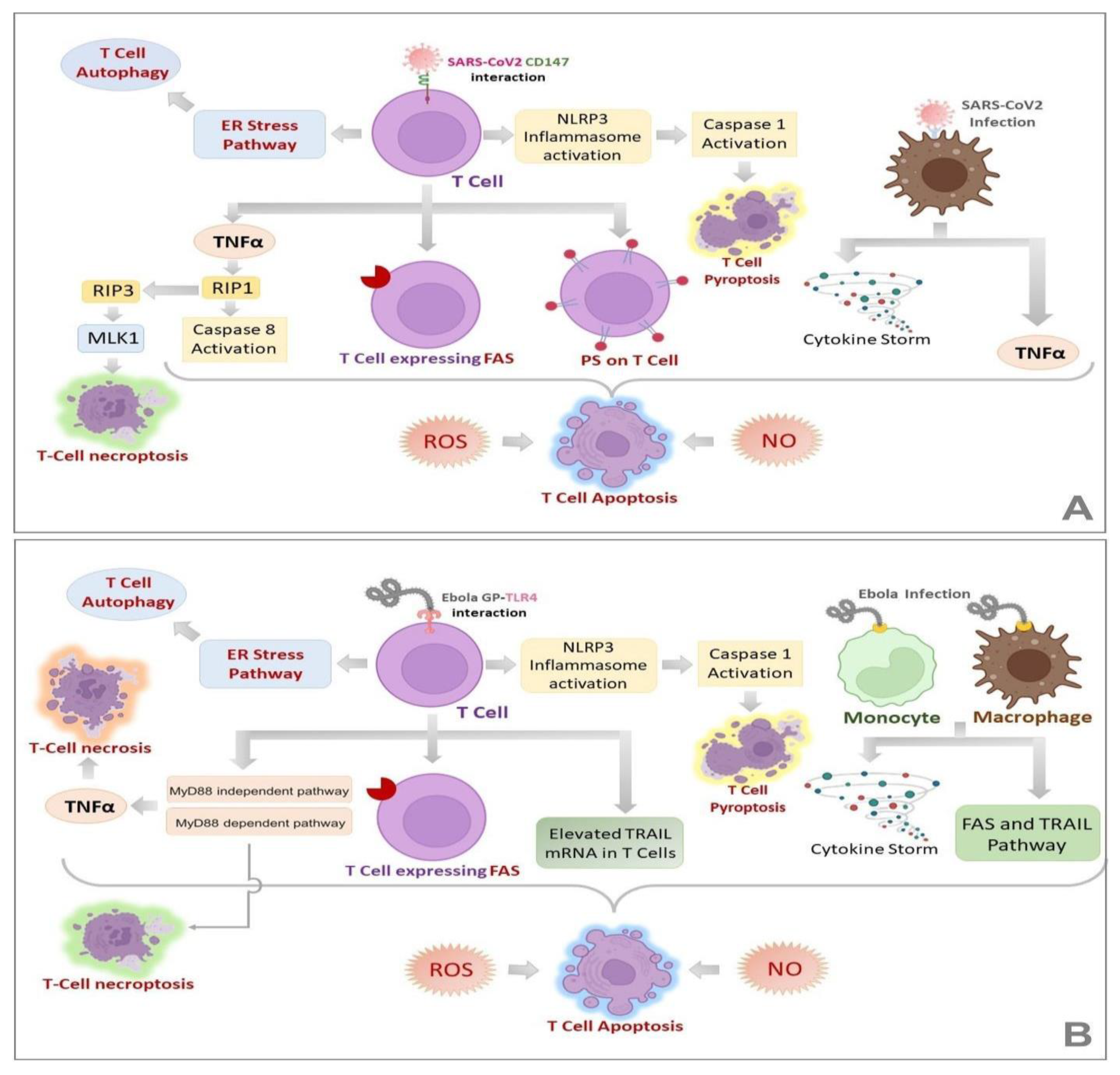 Pathogens 11 00800 g003