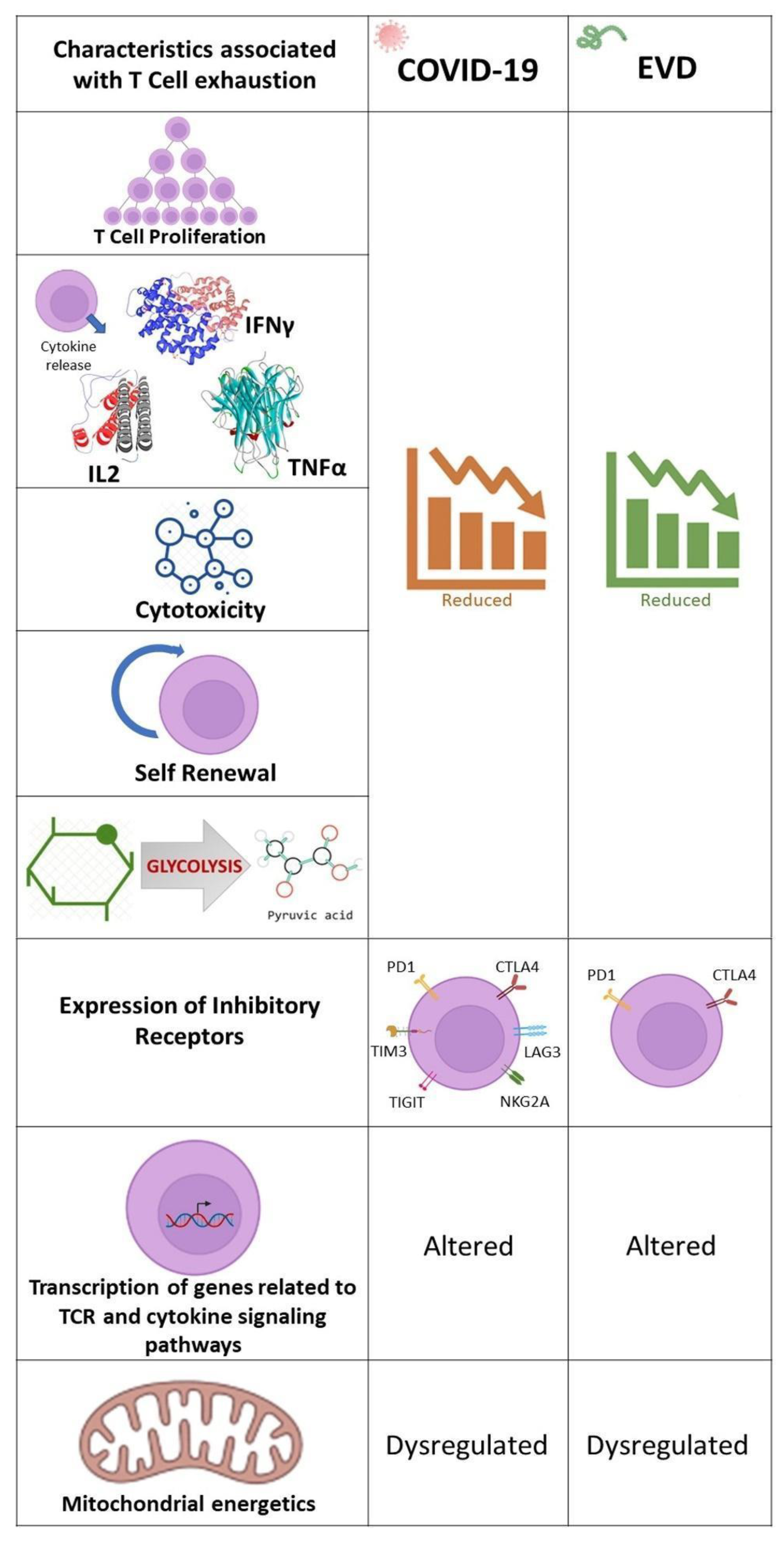 Pathogens 11 00800 g005