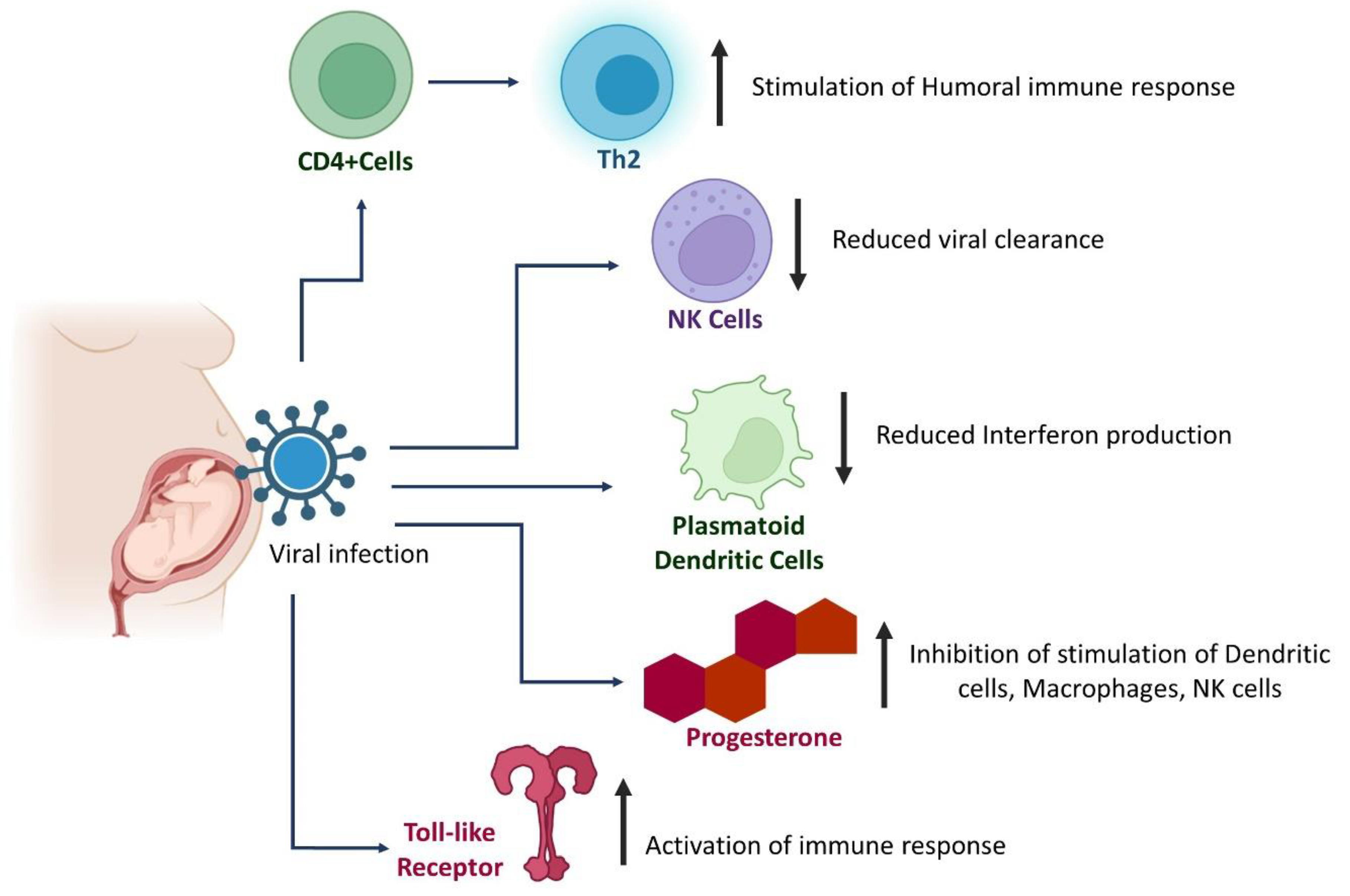 Pathogens 11 00800 g006