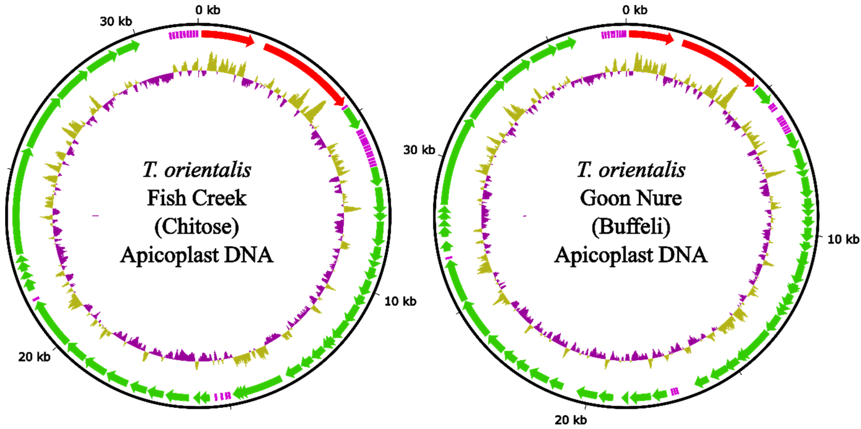 Pathogens 11 00801 g001