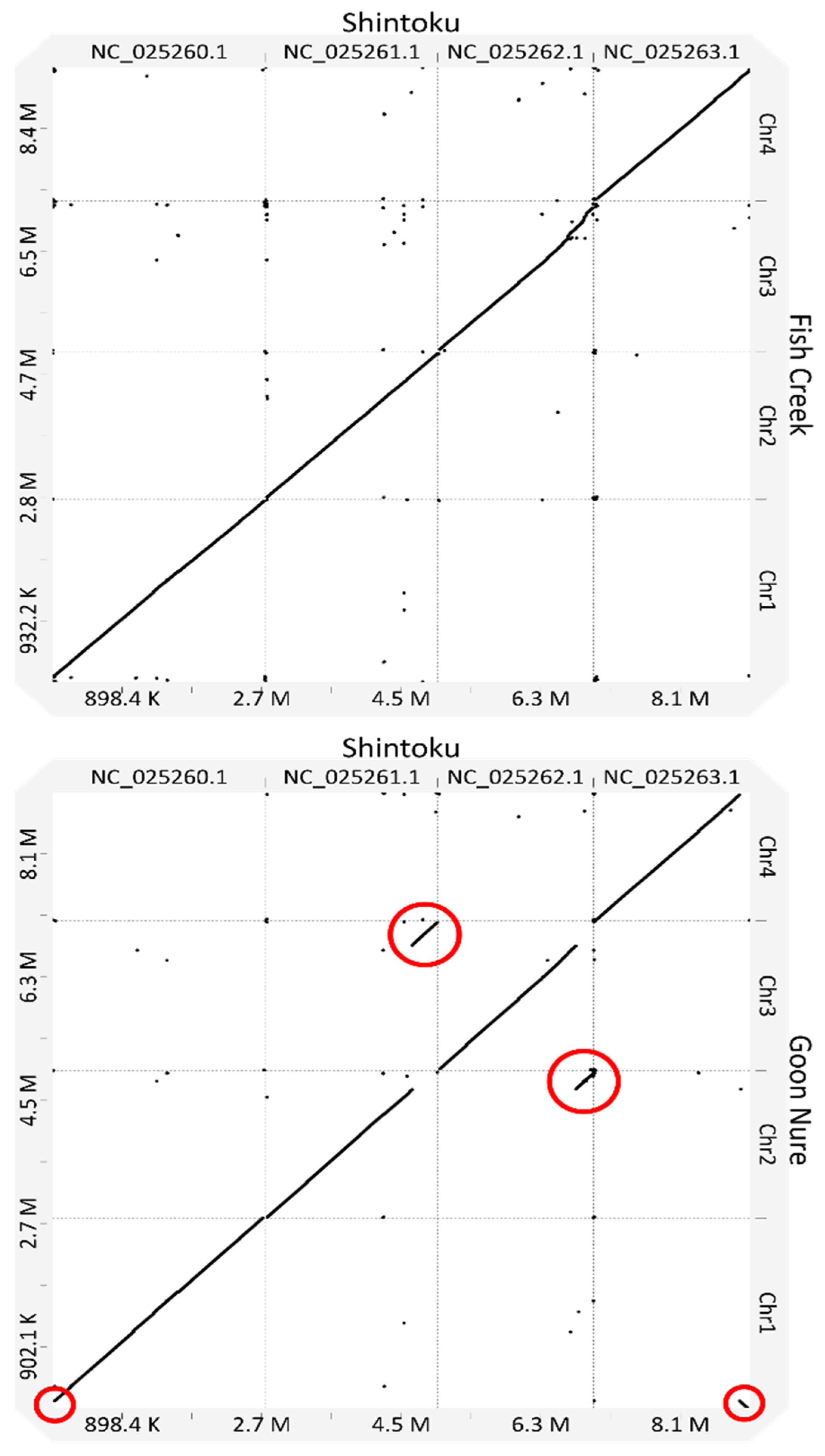 Pathogens 11 00801 g002a