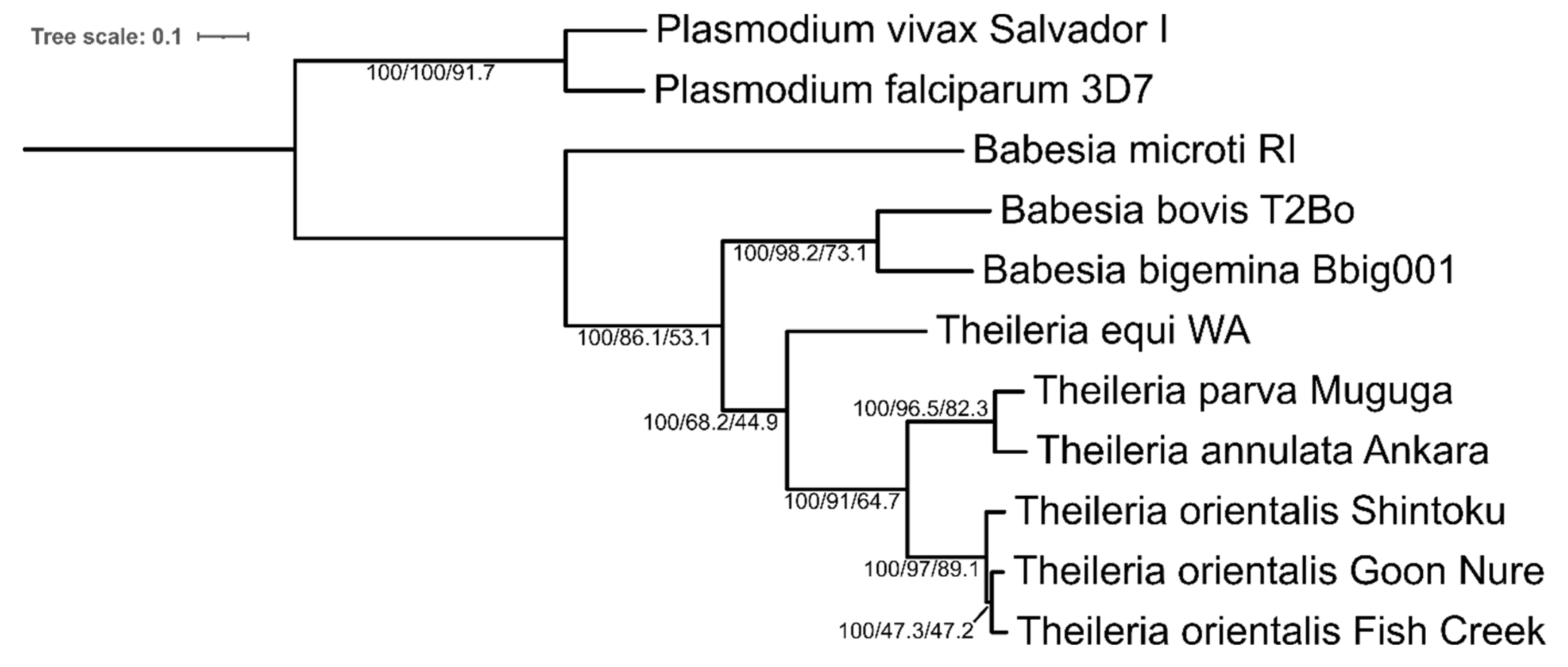 Pathogens 11 00801 g005