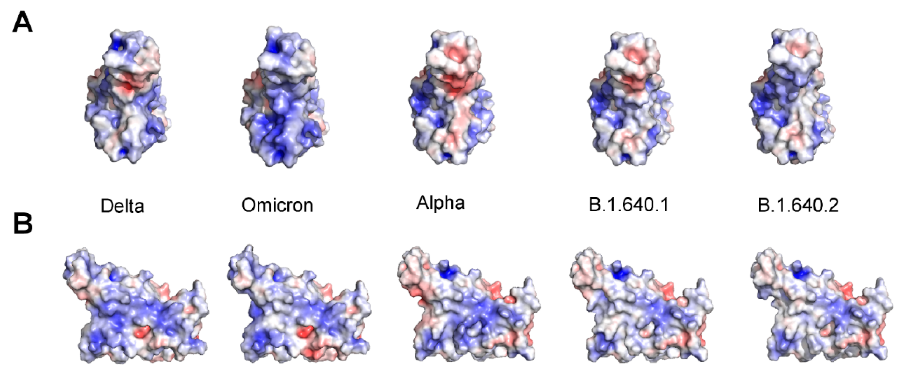 Pathogens 11 00814 g002 Pathogens 11 00814 g002