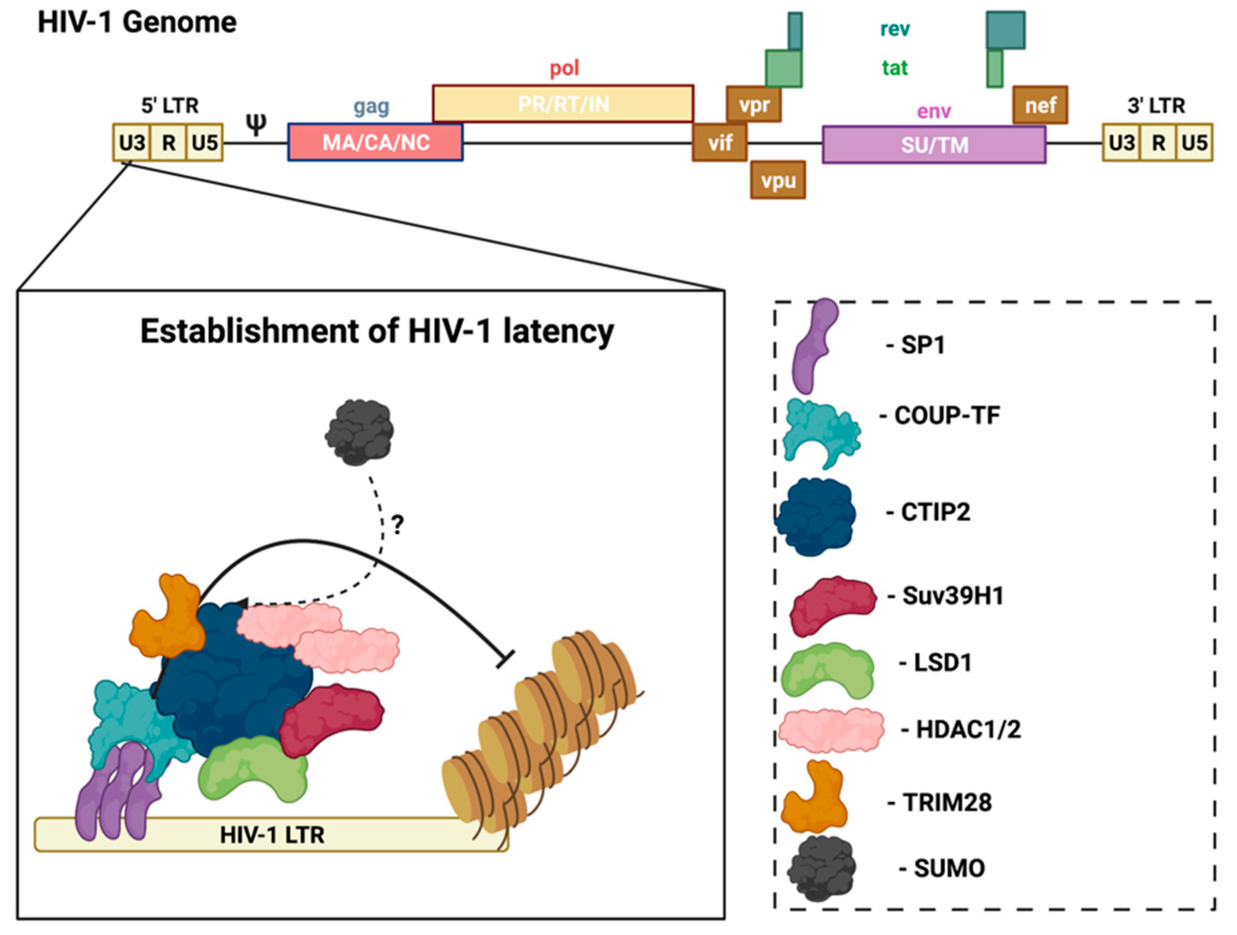 Pathogens 11 00818 g002