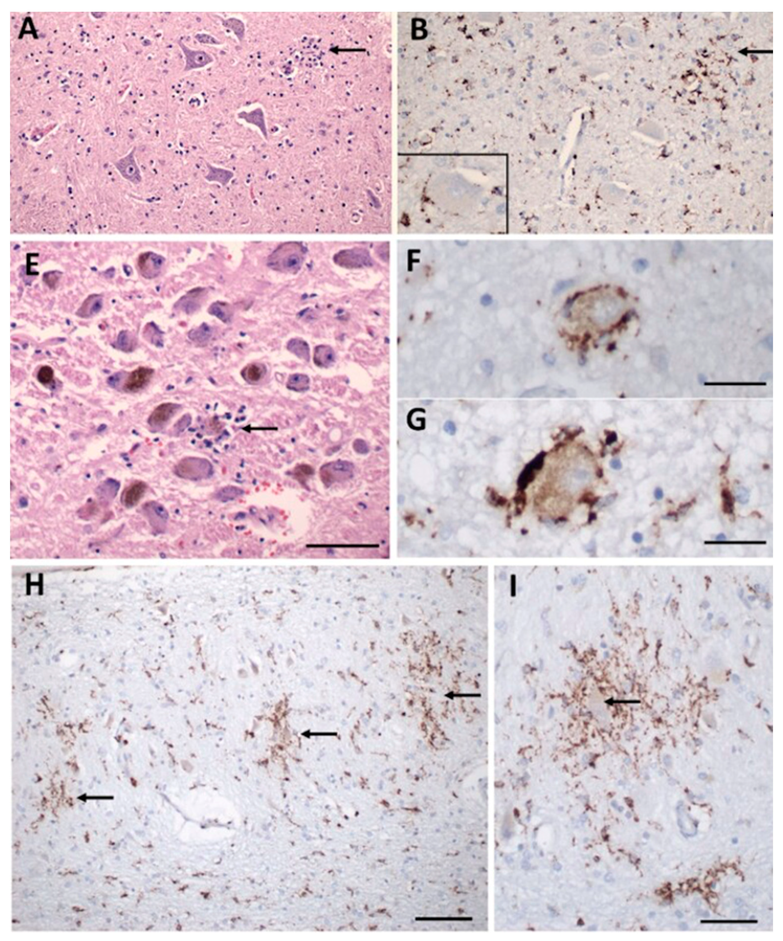 Pathogens 11 00818 g003