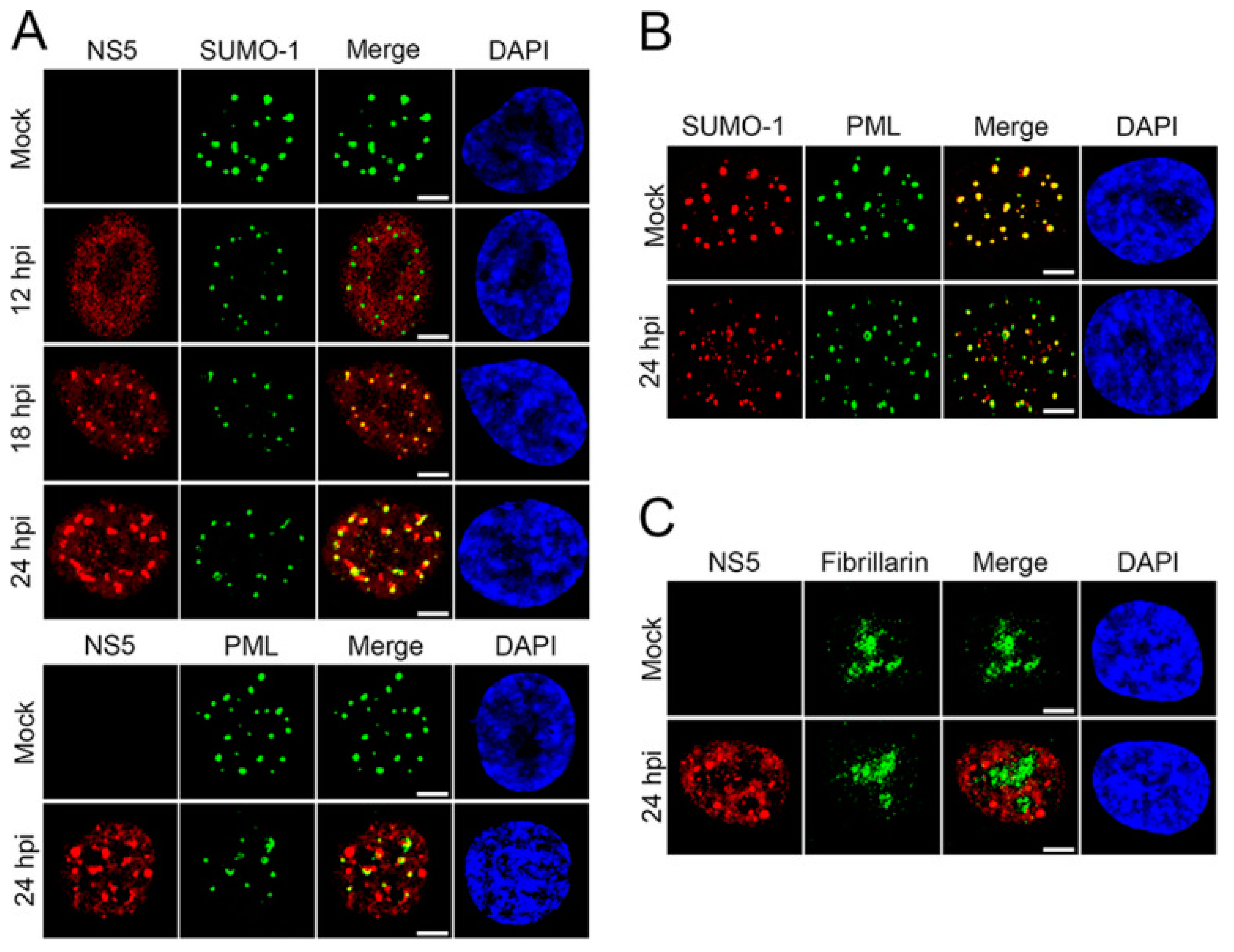 Pathogens 11 00818 g004