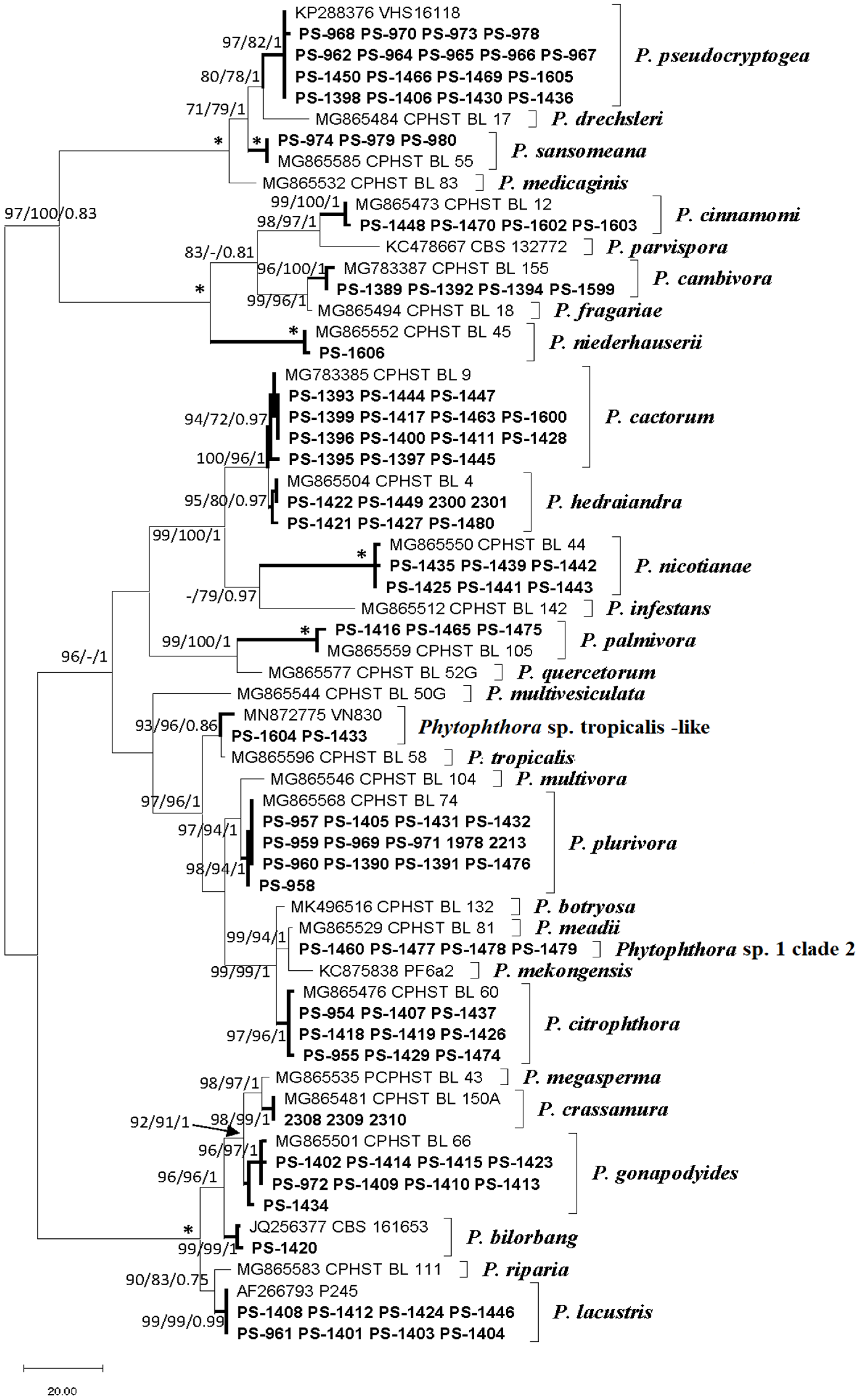 Pathogens 11 00826 g004