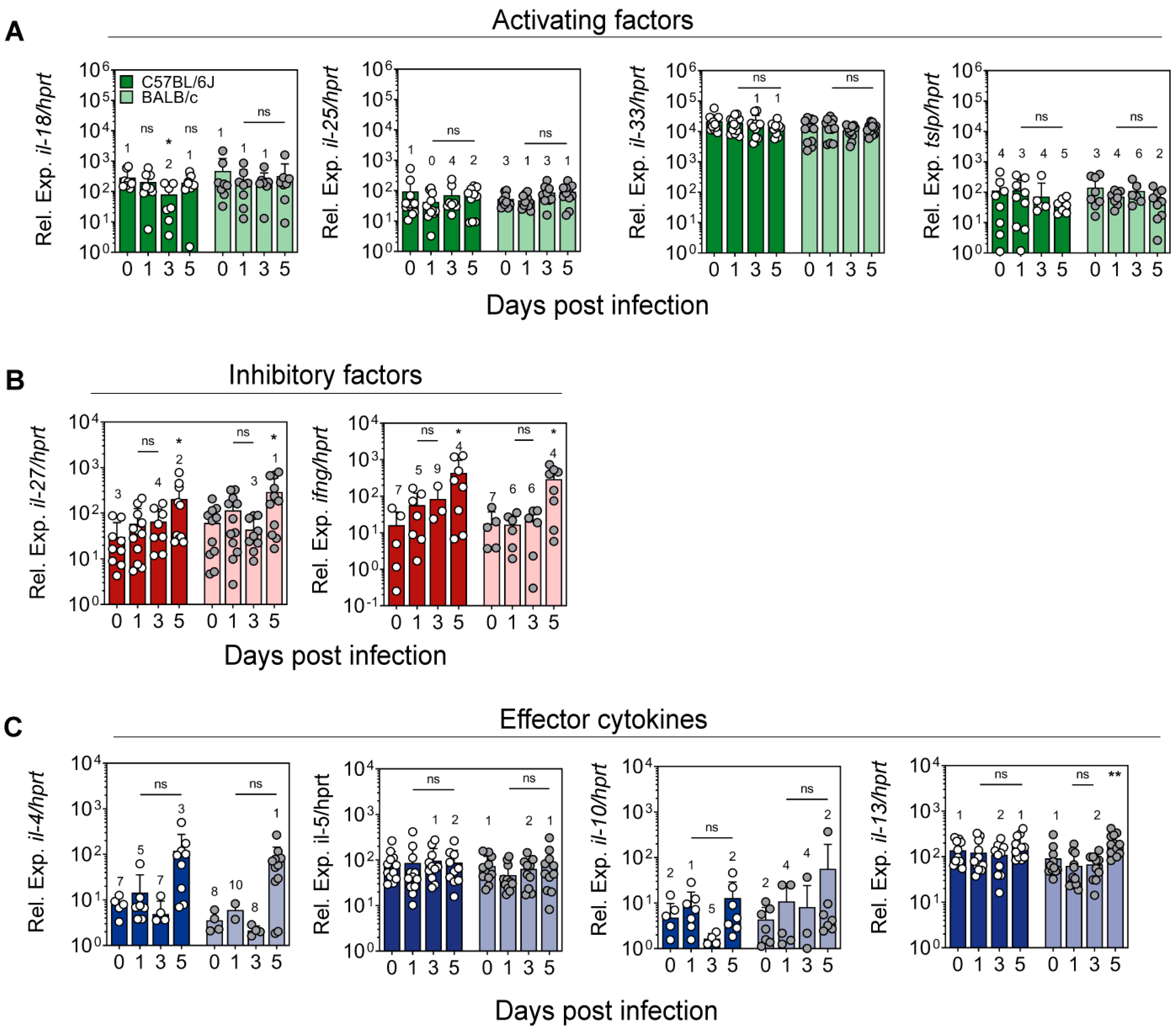 Pathogens 11 00828 g004