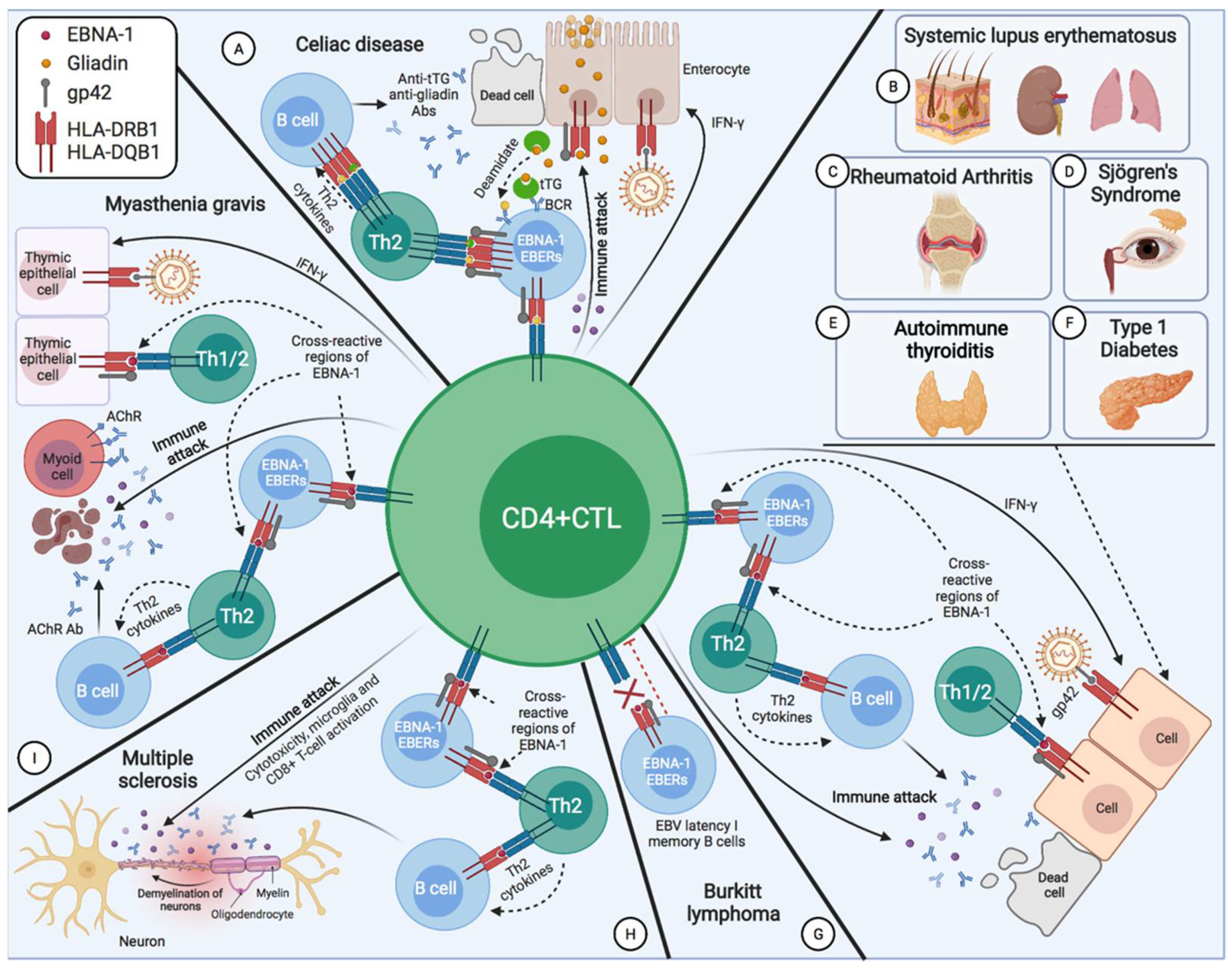 Pathogens 11 00831 g002