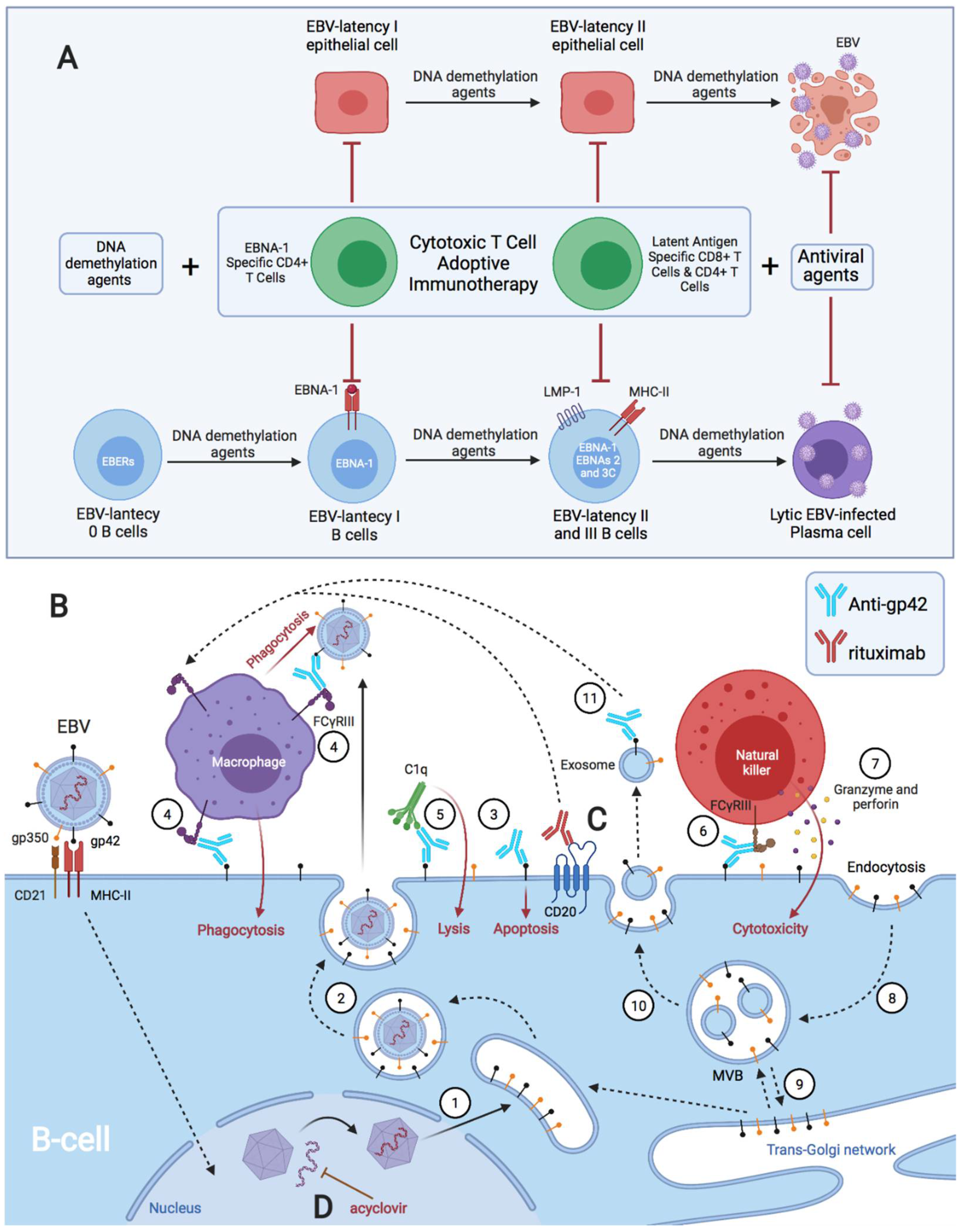 Pathogens 11 00831 g004