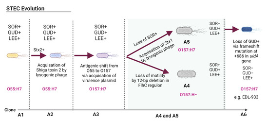 Pathogens 11 00837 g001