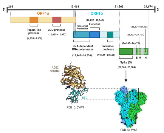 Pathogens 11 00837 g002