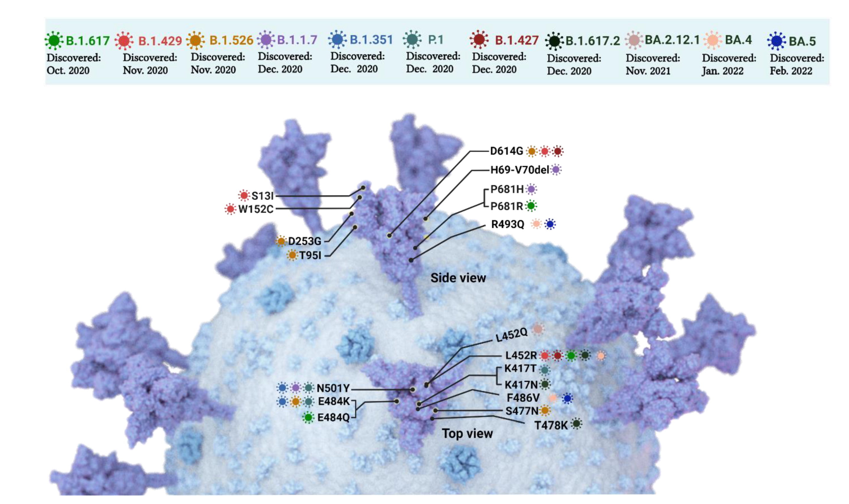 Pathogens 11 00837 g003