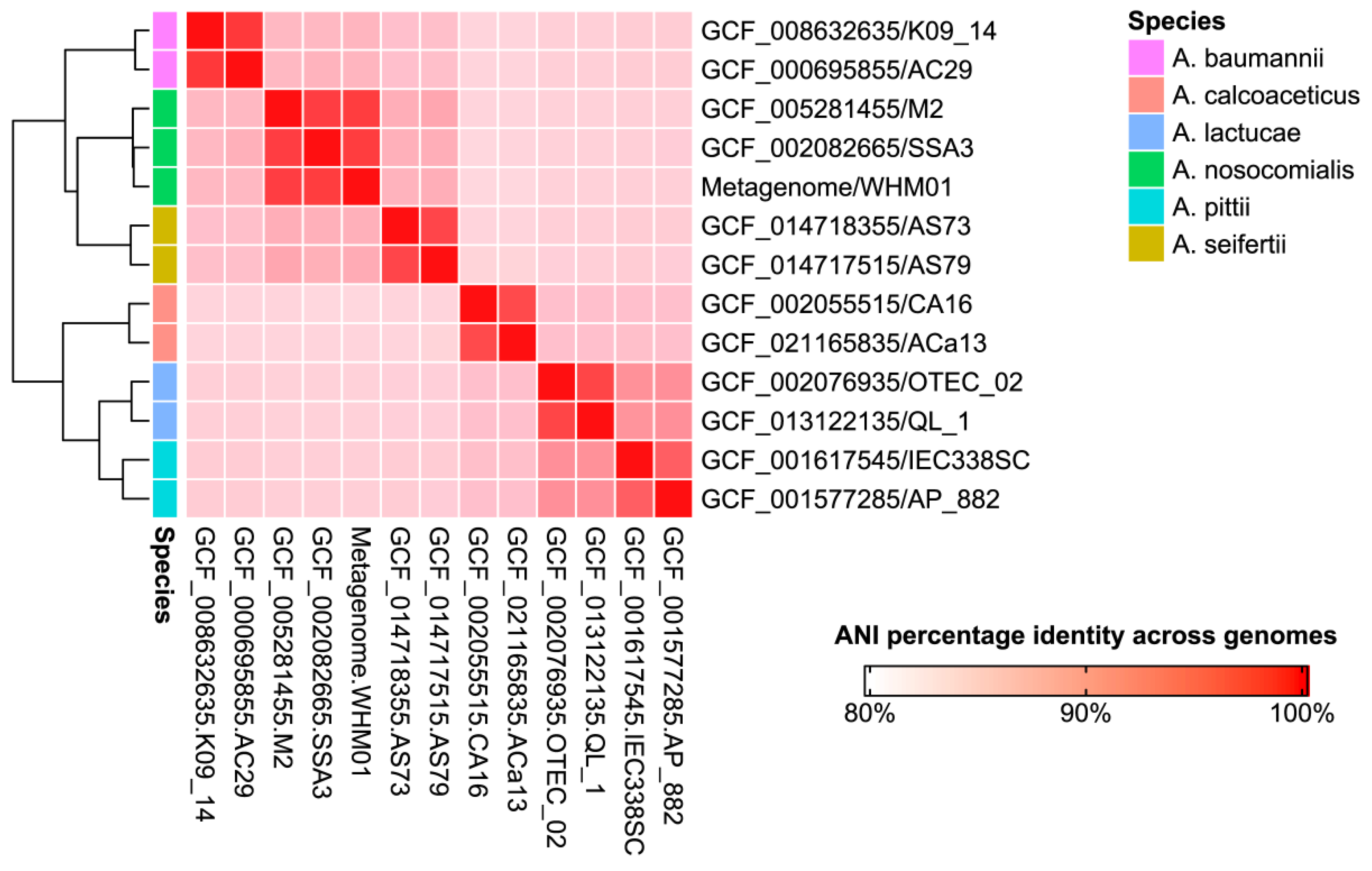 Pathogens 11 00838 g001