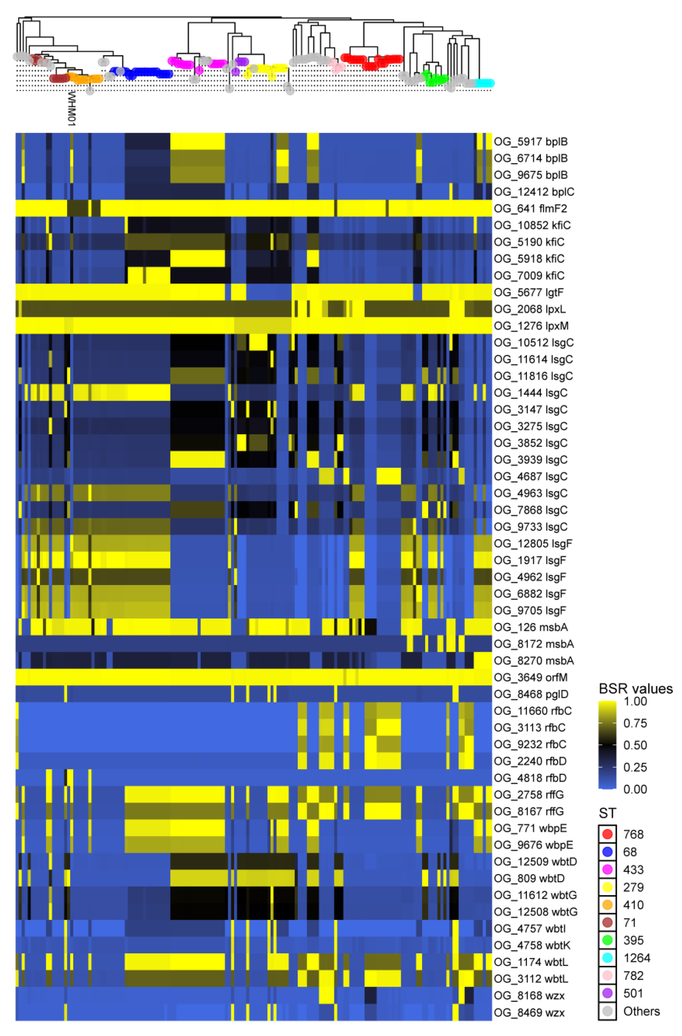 Pathogens 11 00838 g003