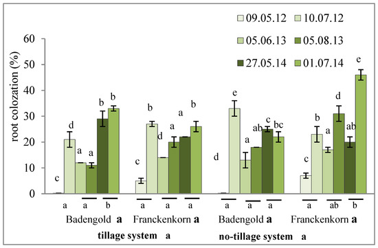 Pathogens 11 00844 g002
