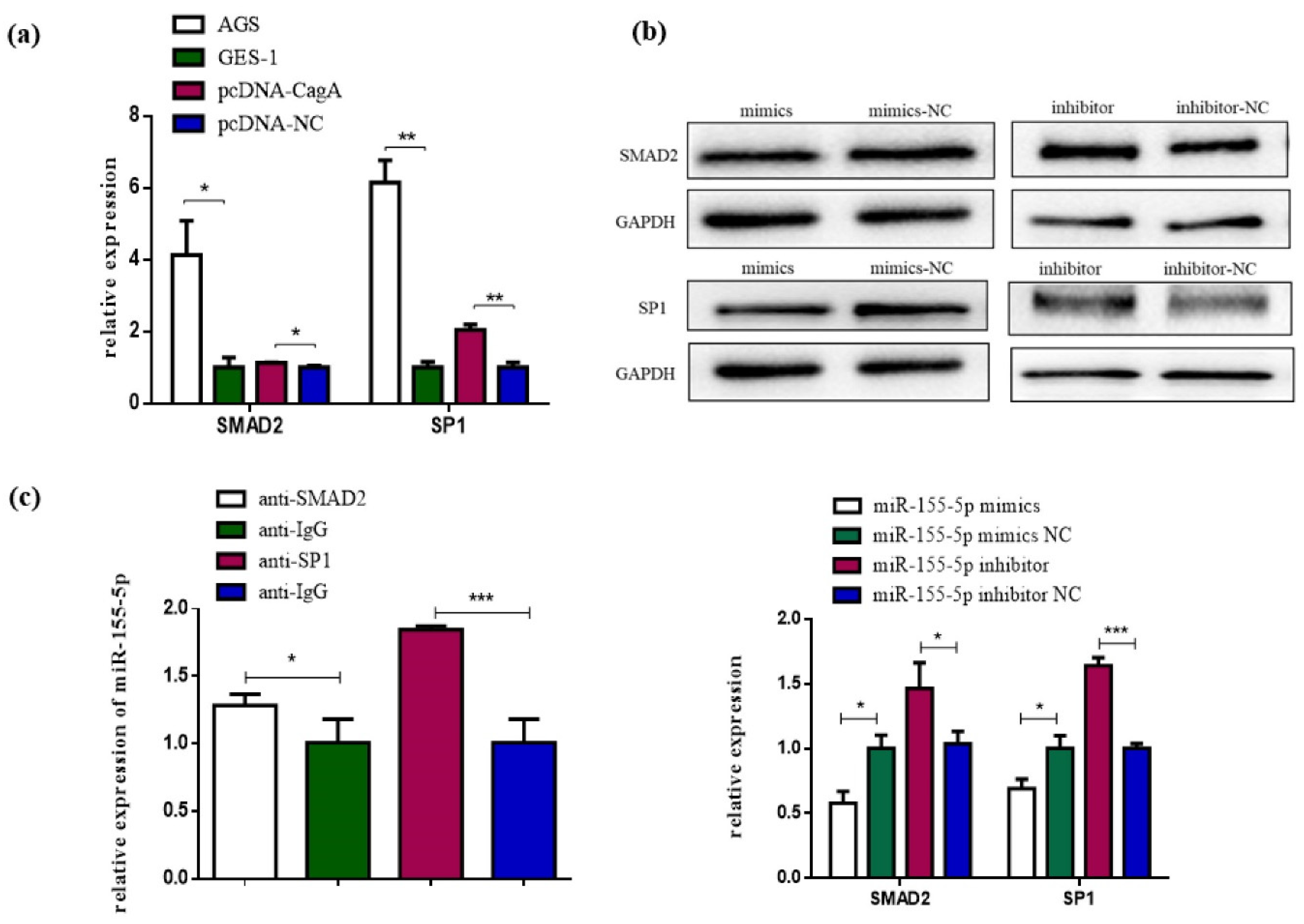 Pathogens 11 00846 g004