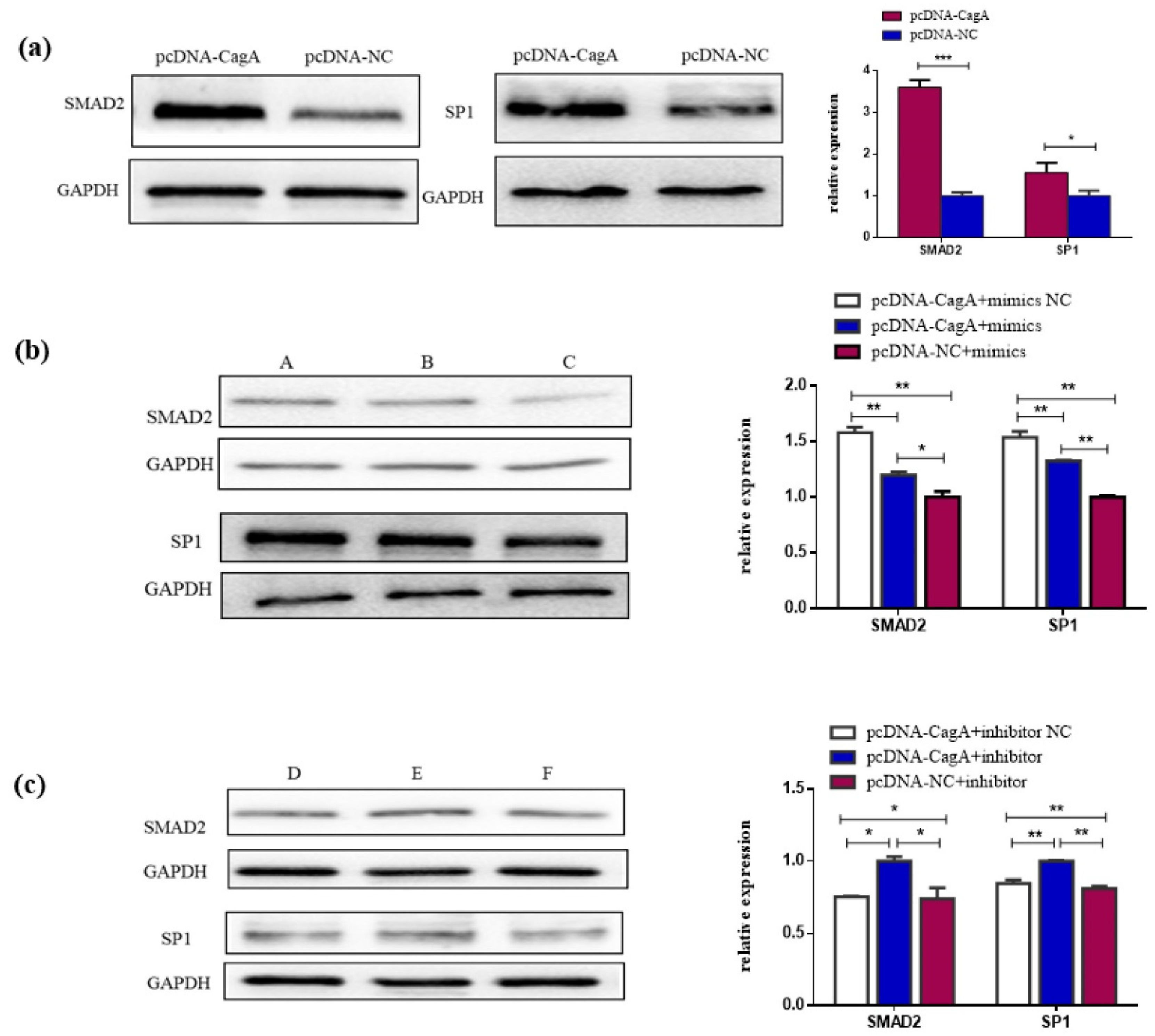 Pathogens 11 00846 g005