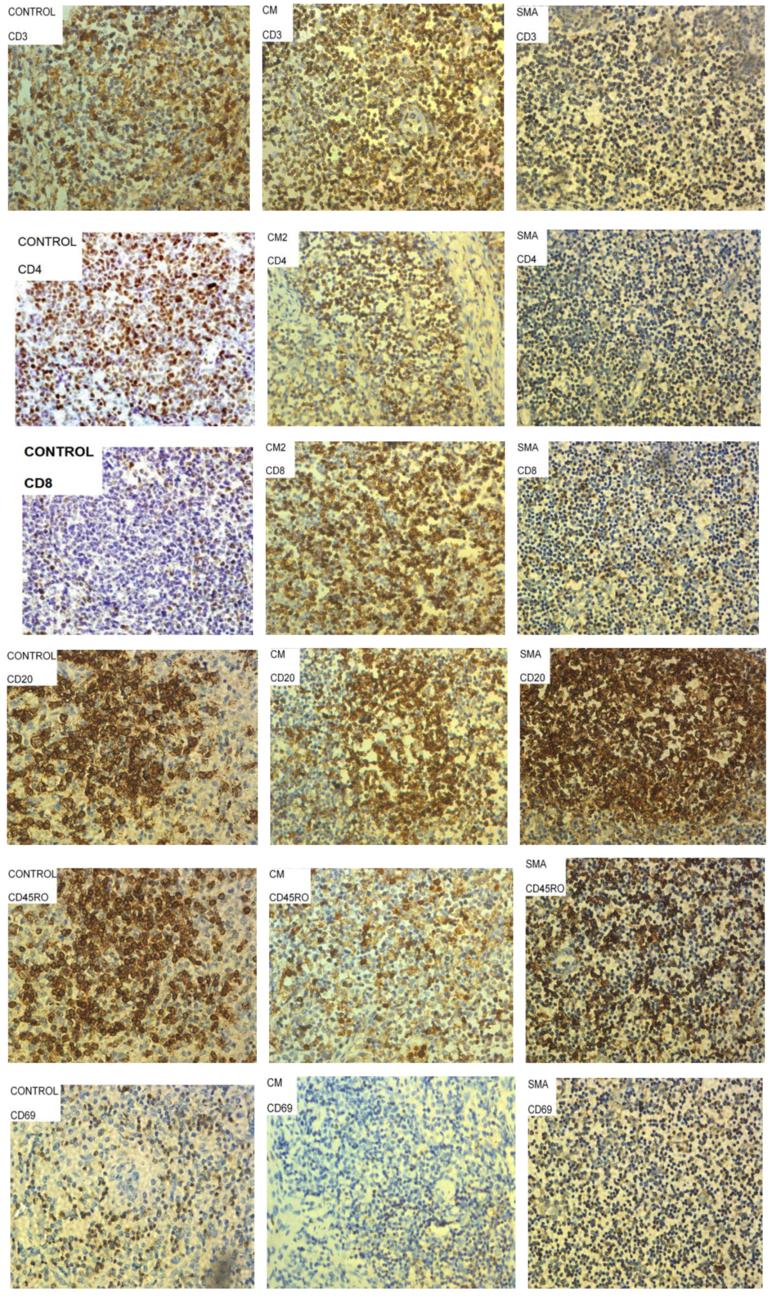 Pathogens 11 00851 g002