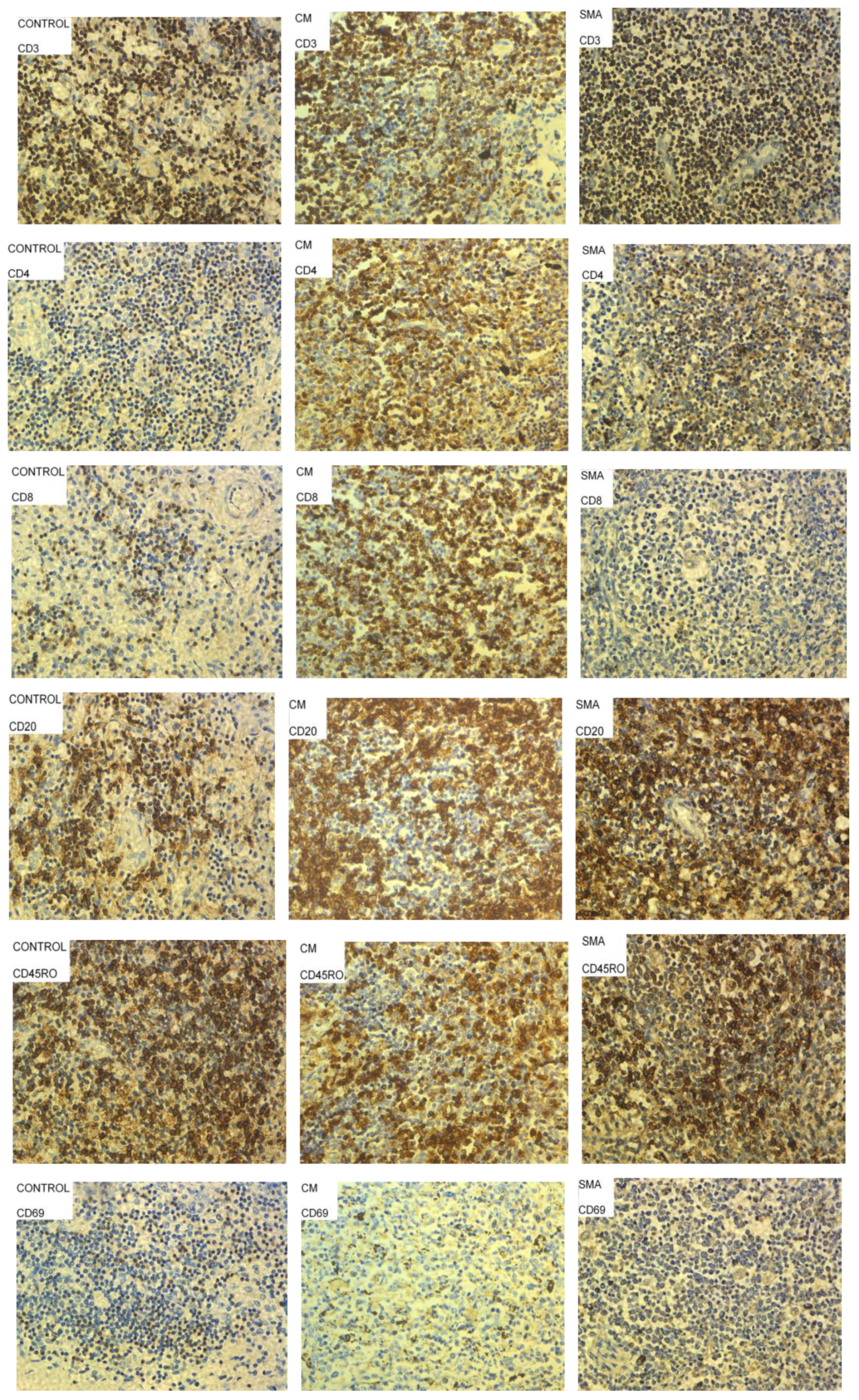 Pathogens 11 00851 g004