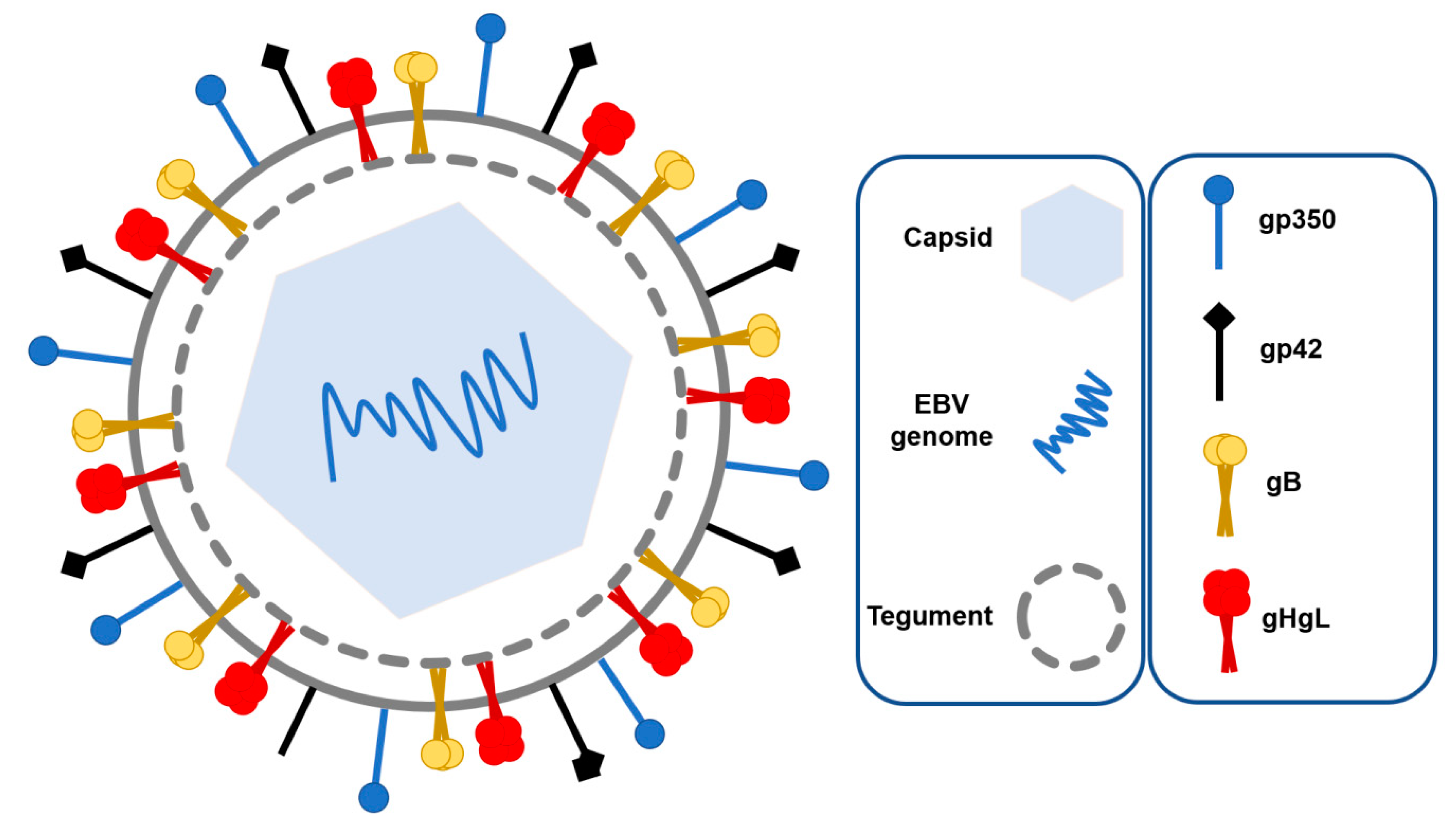 Pathogens 11 00864 g001
