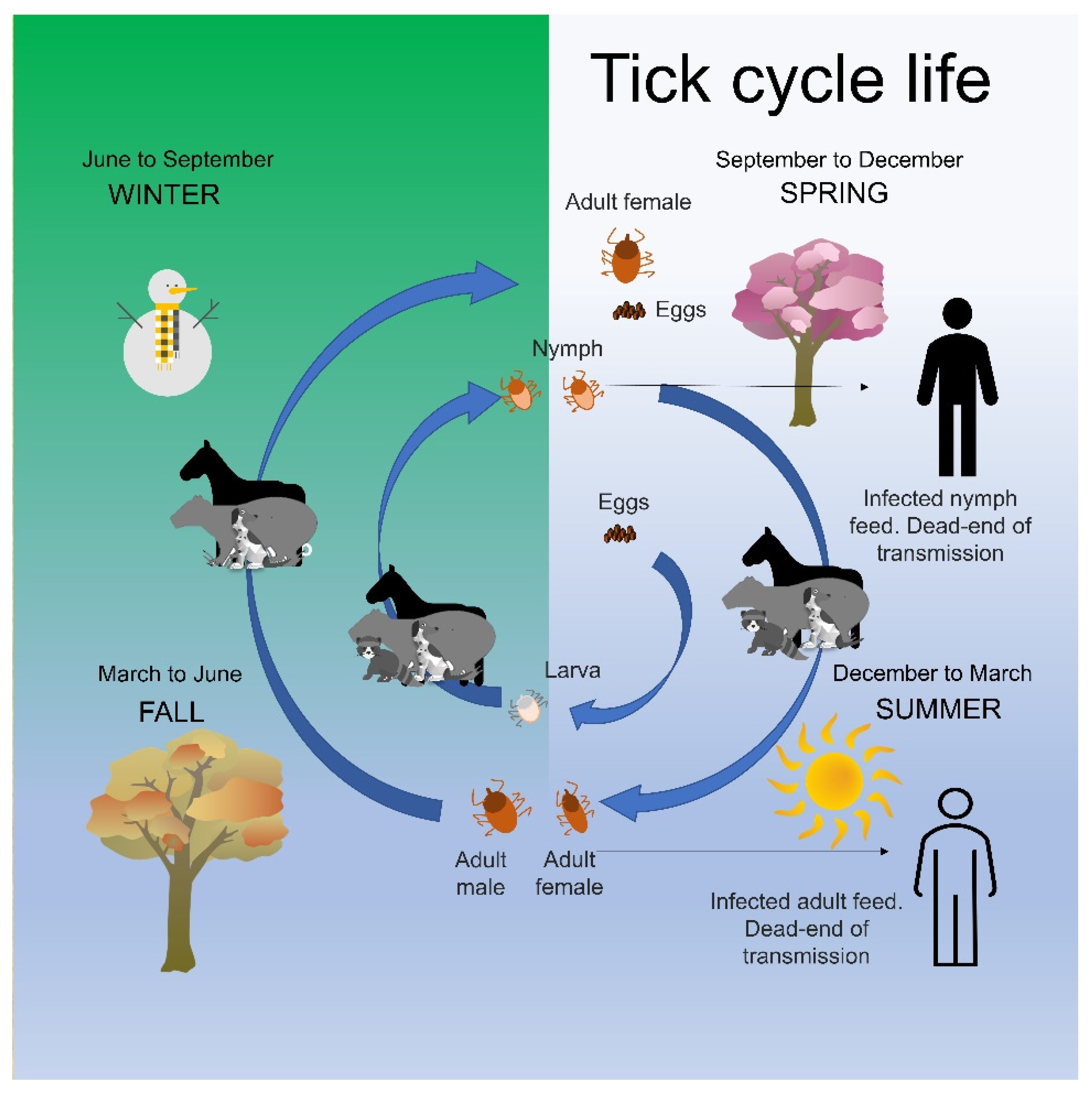 Pathogens 11 00870 g001