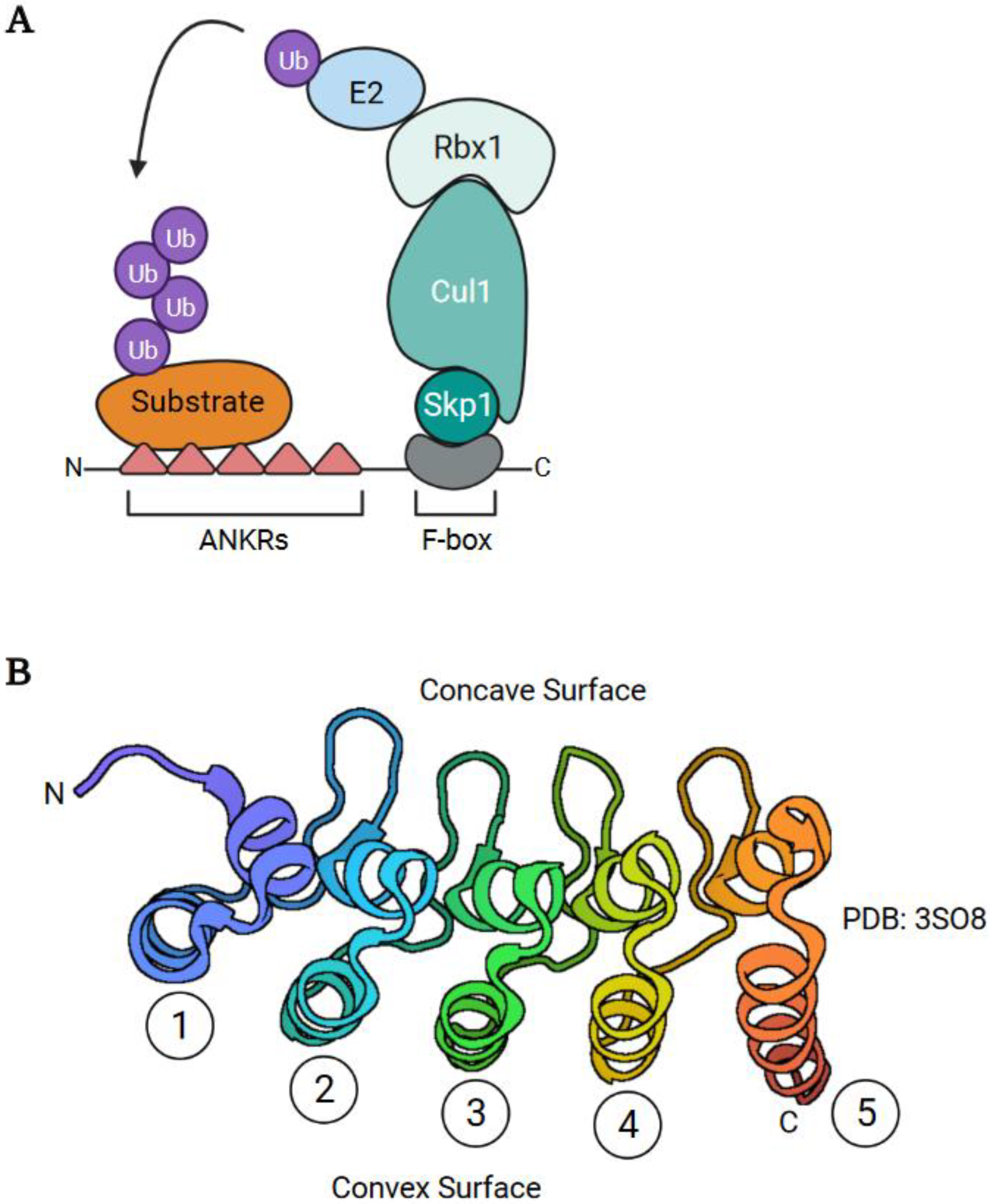 Pathogens 11 00875 g002 Pathogens 11 00875 g002